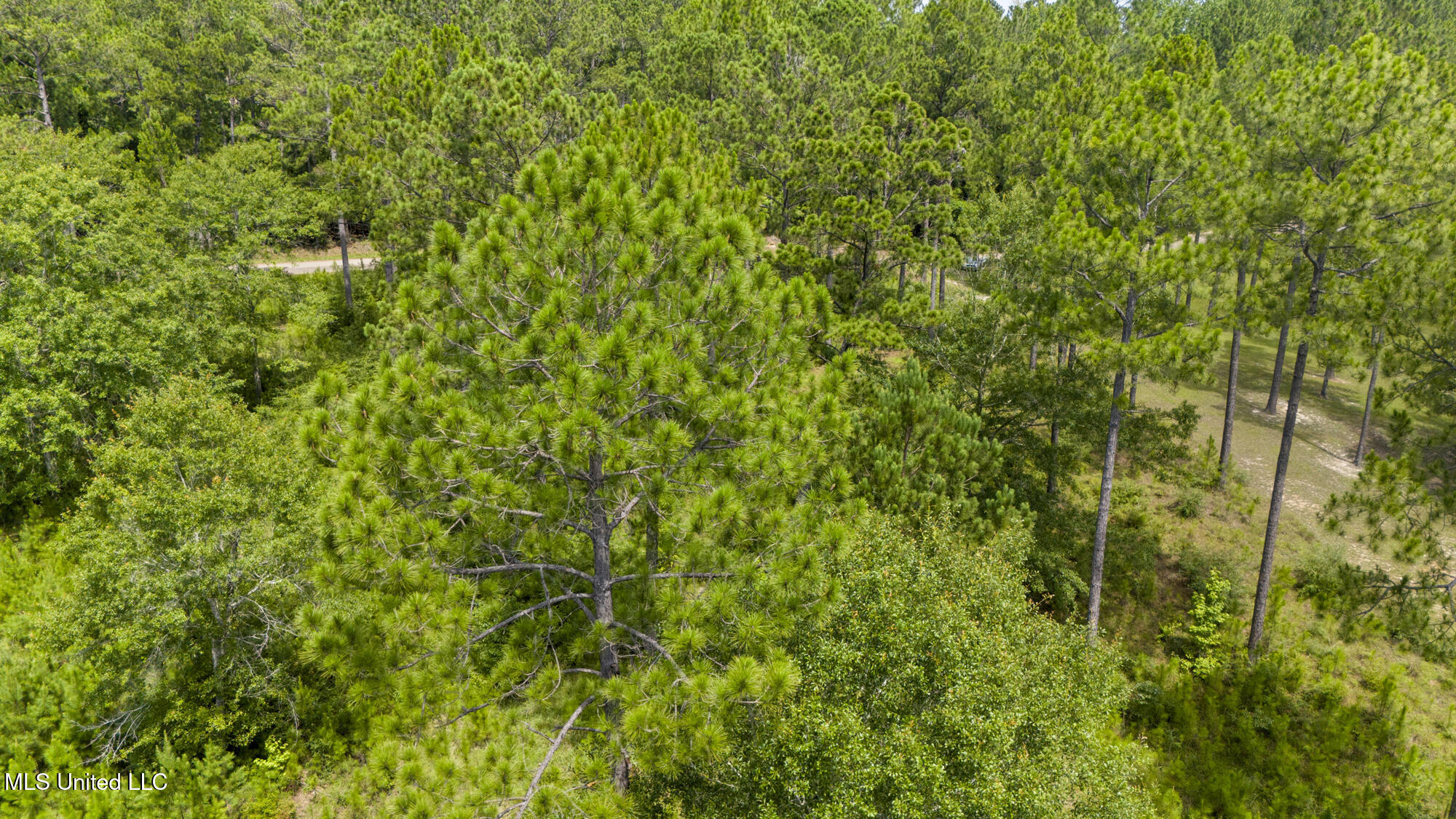 Burnt Pine Road Property Photo 17