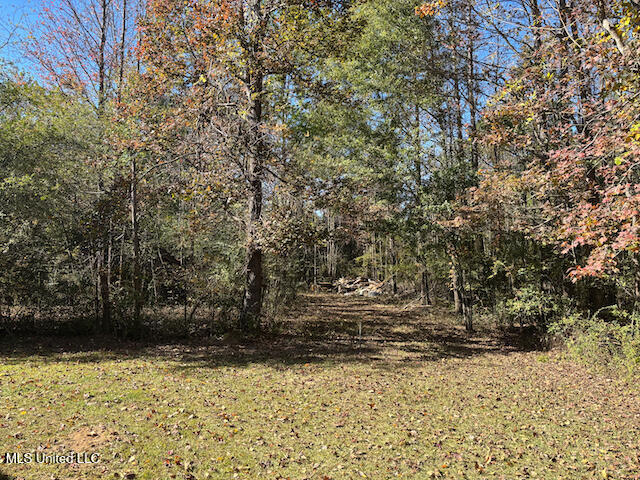 155 Sonnys Road Property Photo 60