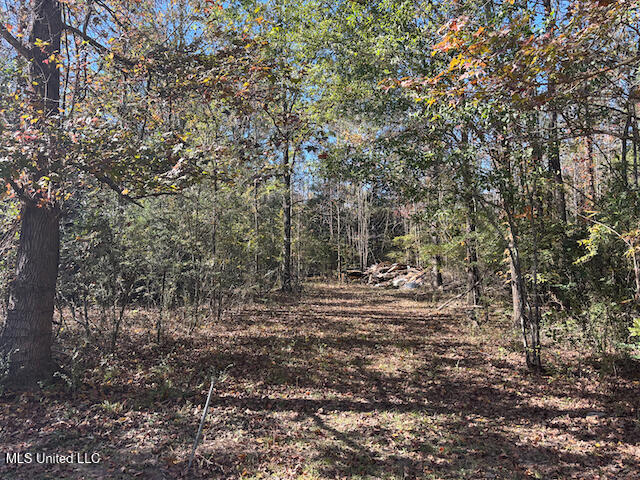 155 Sonnys Road Property Photo 61