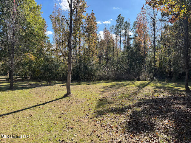 155 Sonnys Road Property Photo 67
