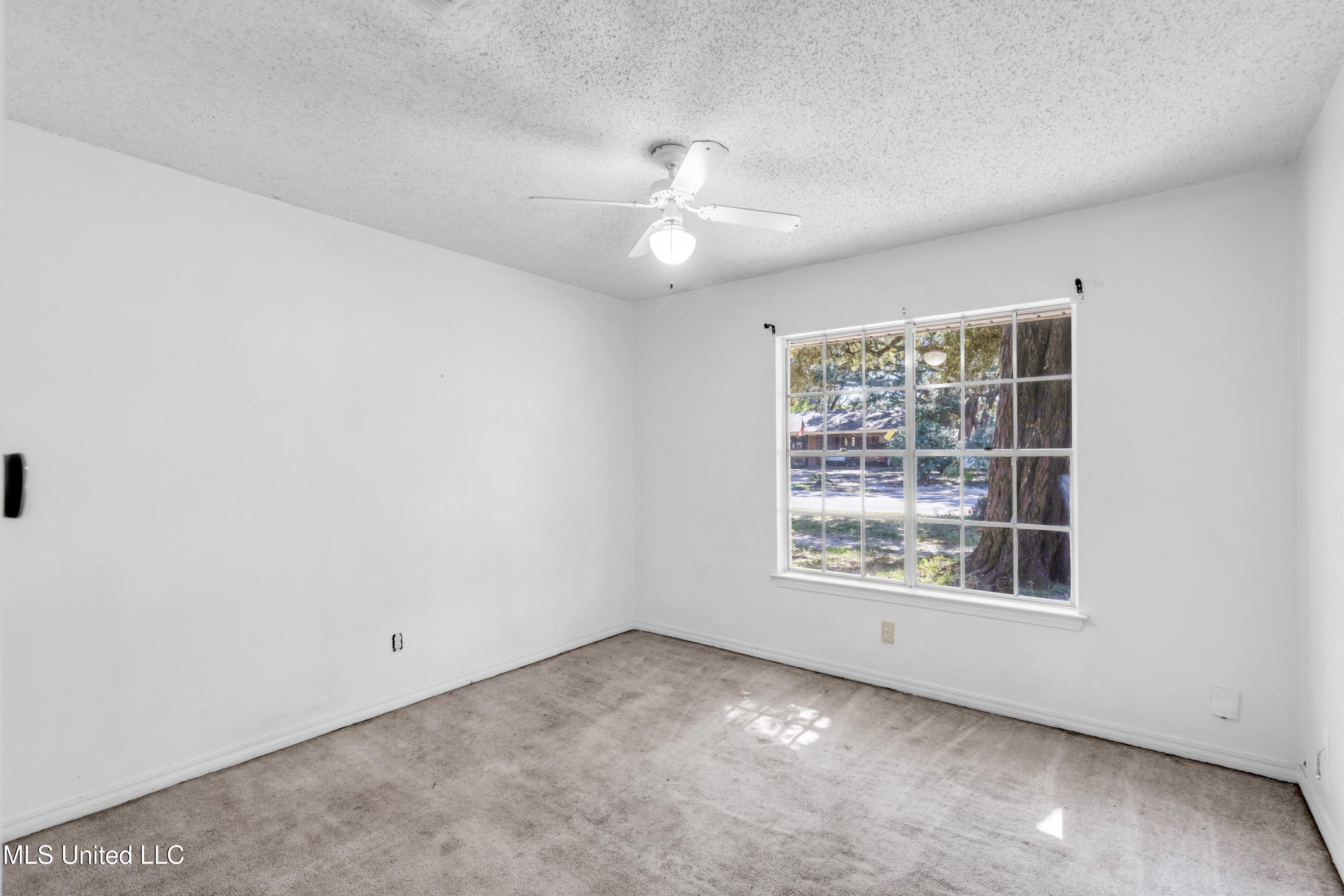 2530 Old Bay Road Property Photo 22