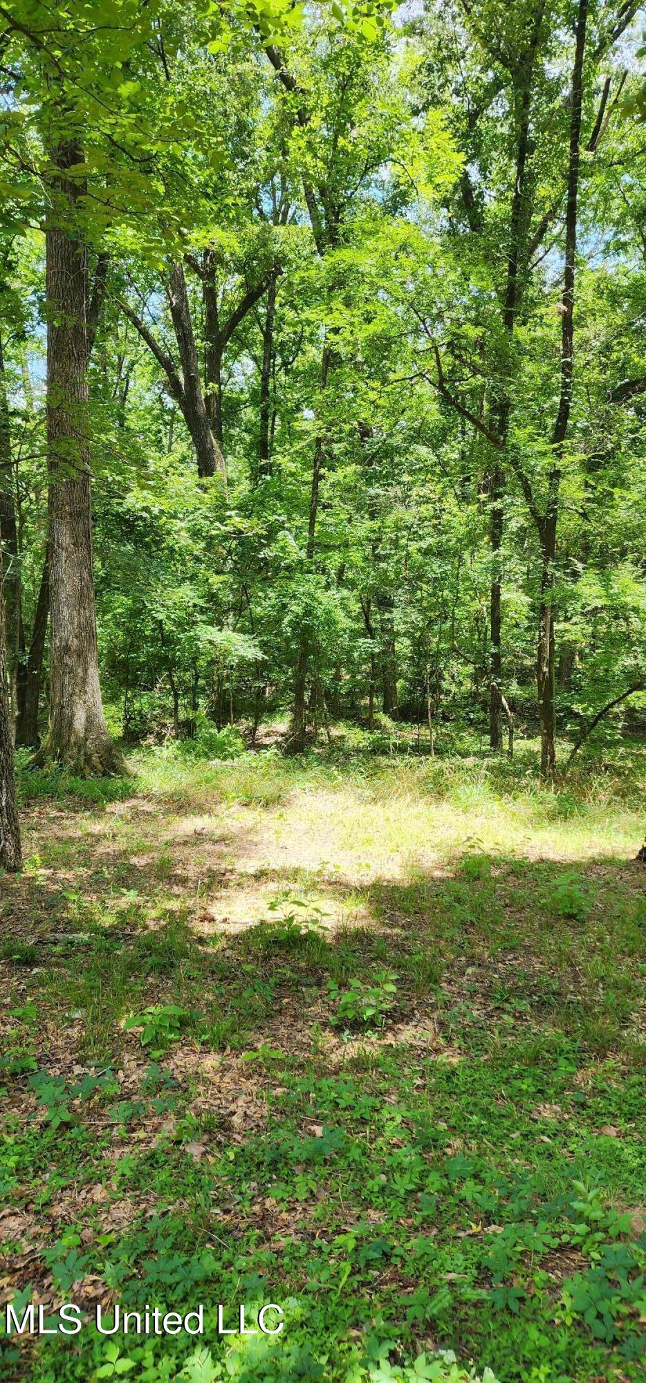 273 Springwood Drive Property Photo 19