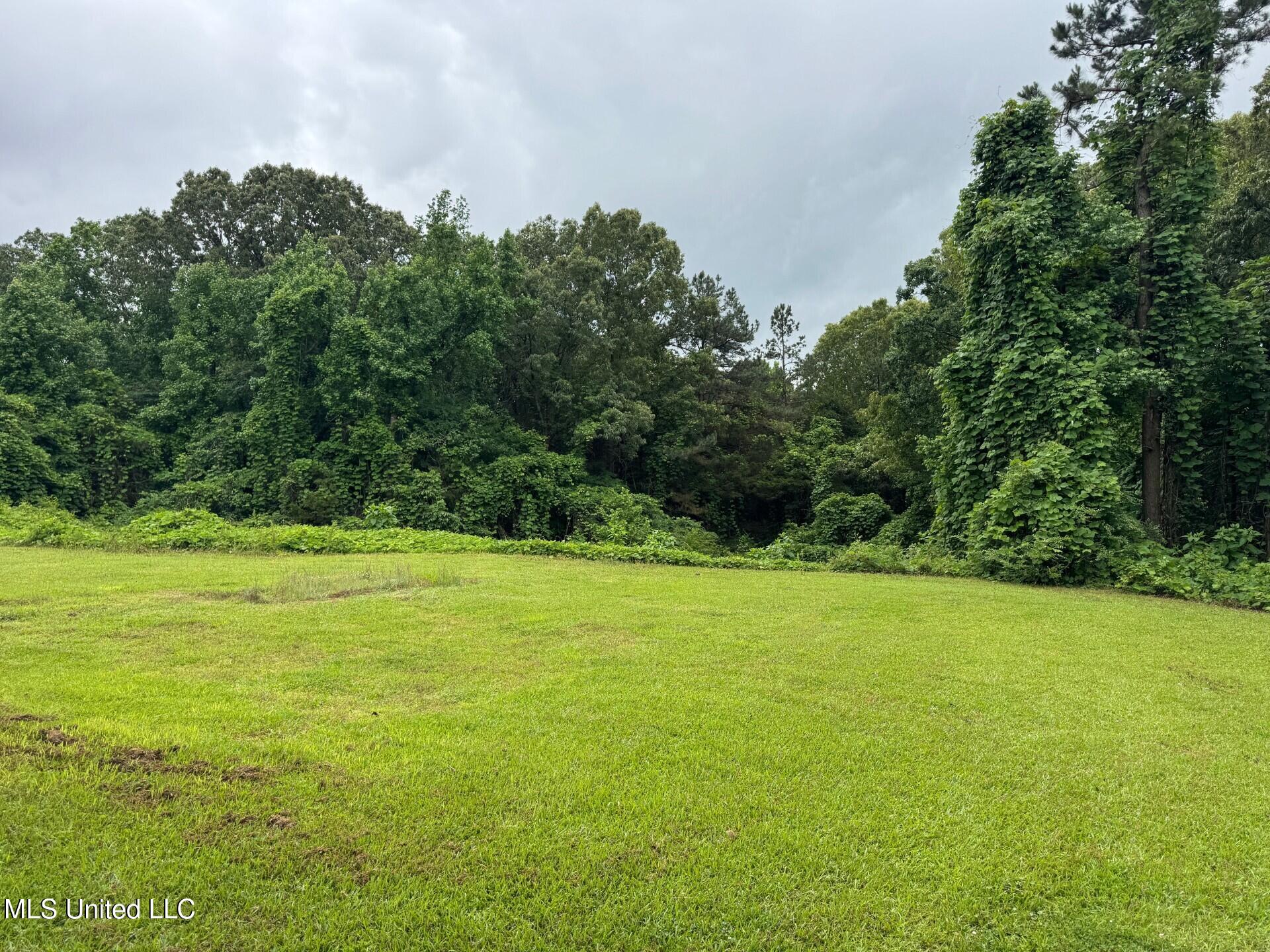 5461 Ms-178 Property Photo 14