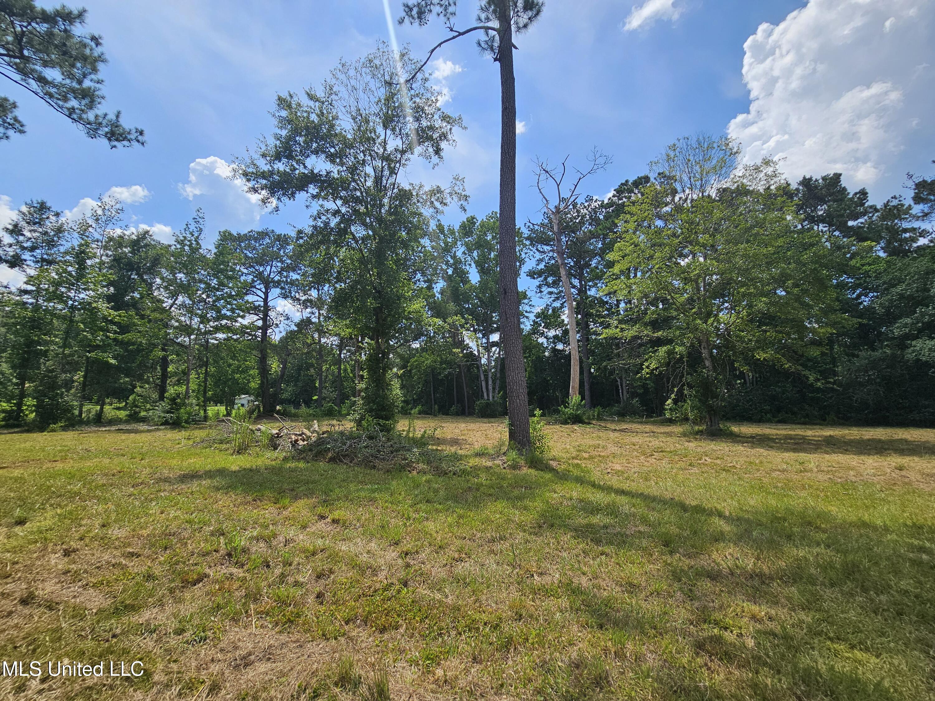 14 Jolly Roger Point Property Photo 6