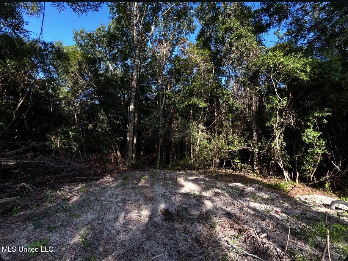 W W Union Road Property Photo 4