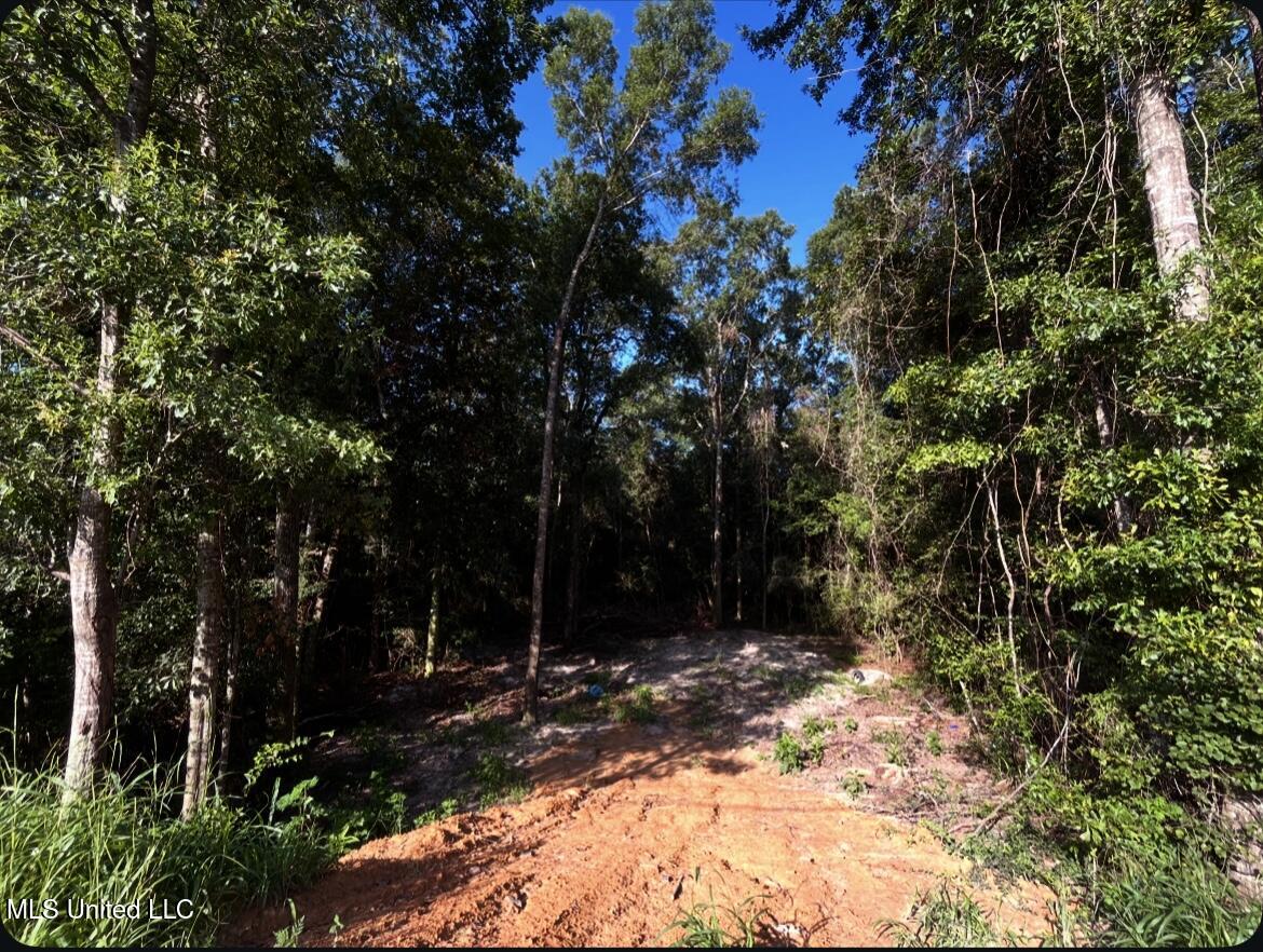 W W Union Road Property Photo 5