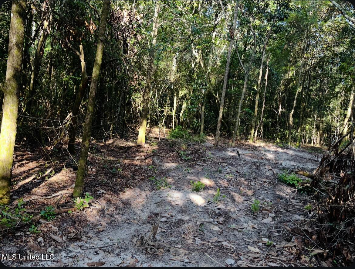 W W Union Road Property Photo 6