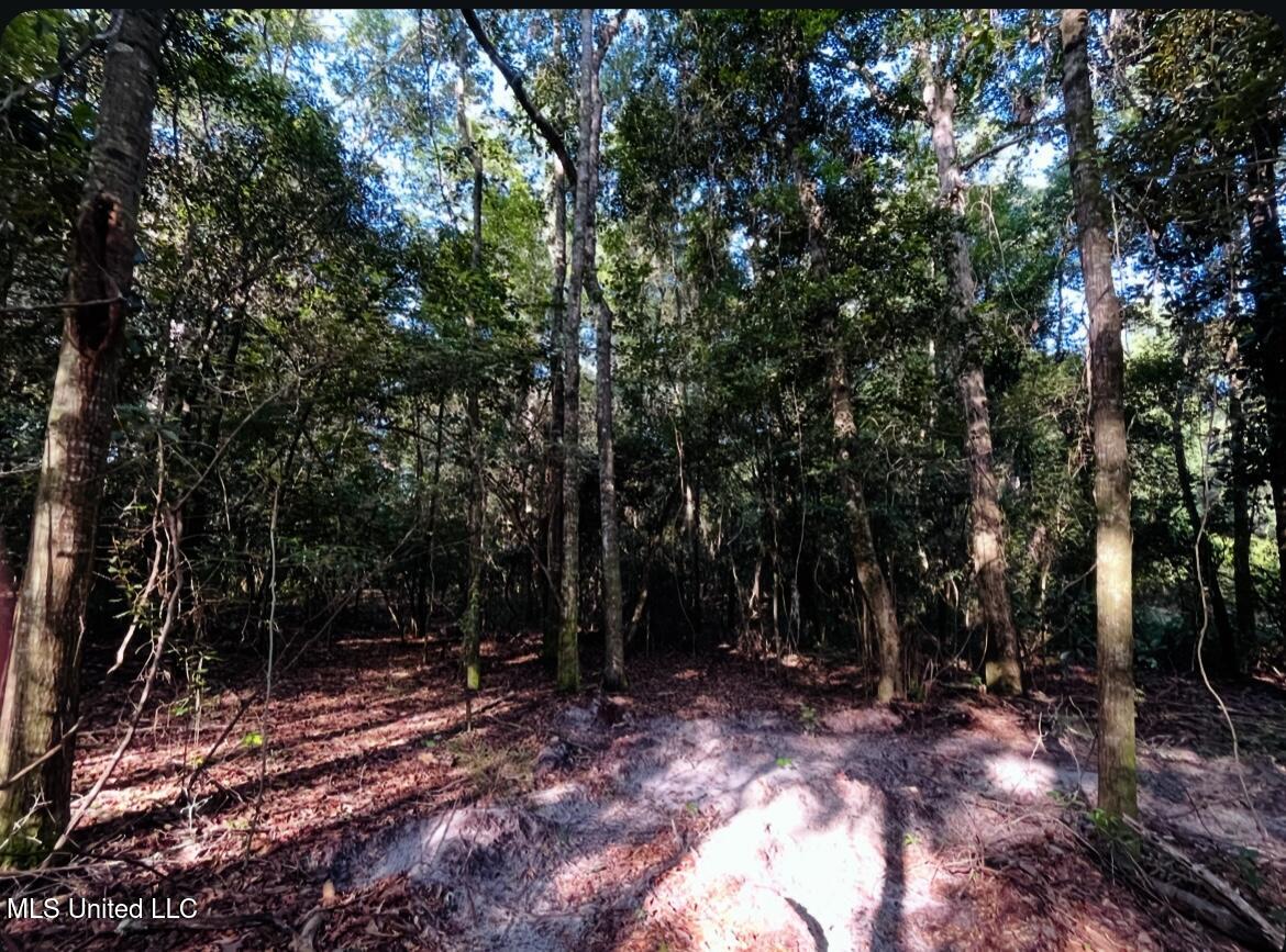 W W Union Road Property Photo 7