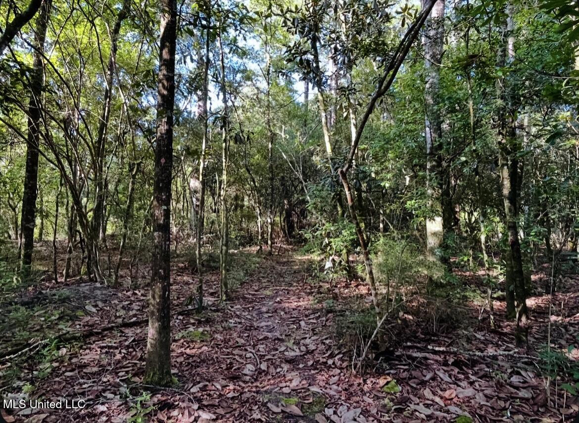 W W Union Road Property Photo 11