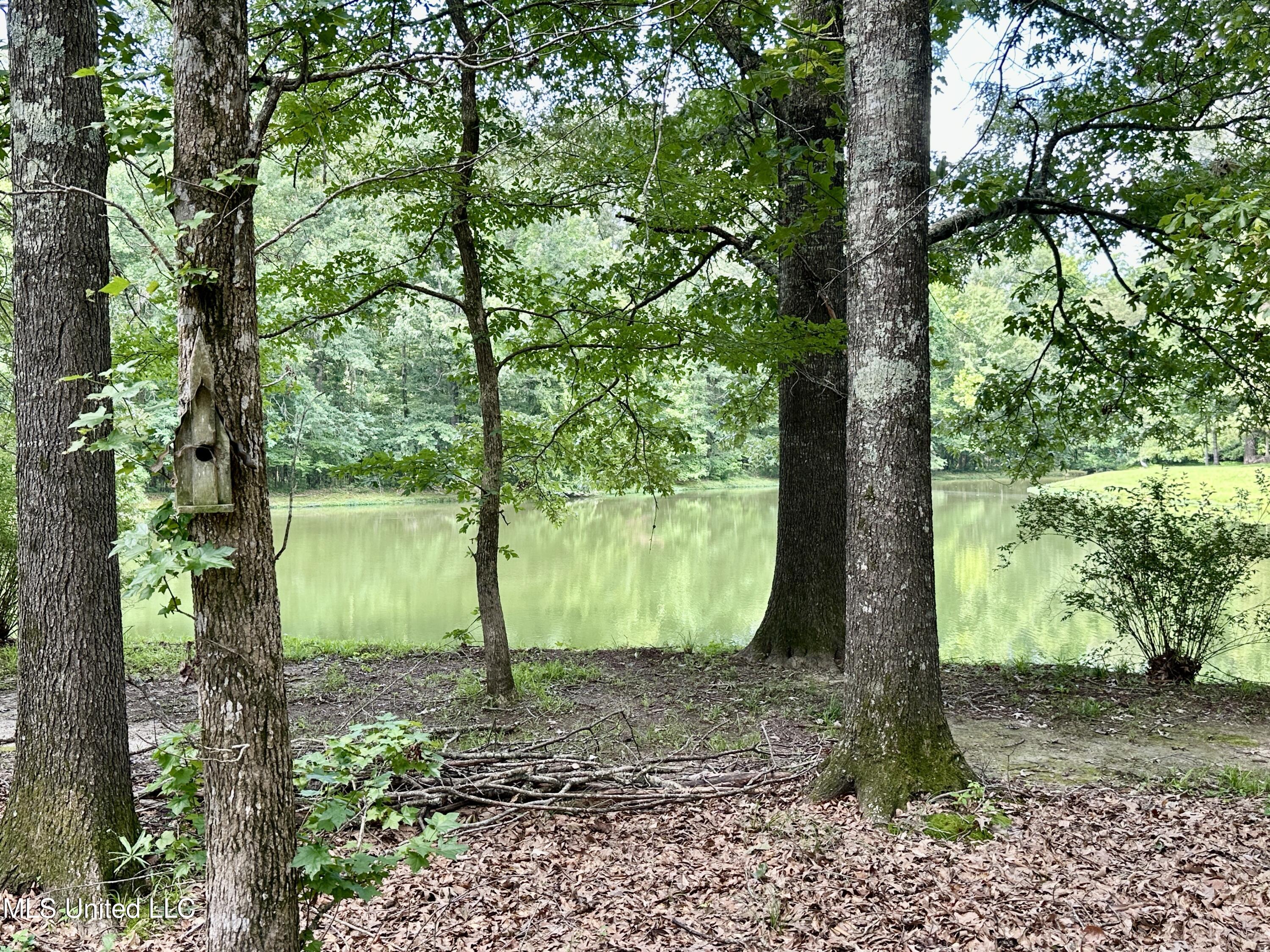 107 Thornwood Drive Property Photo 21