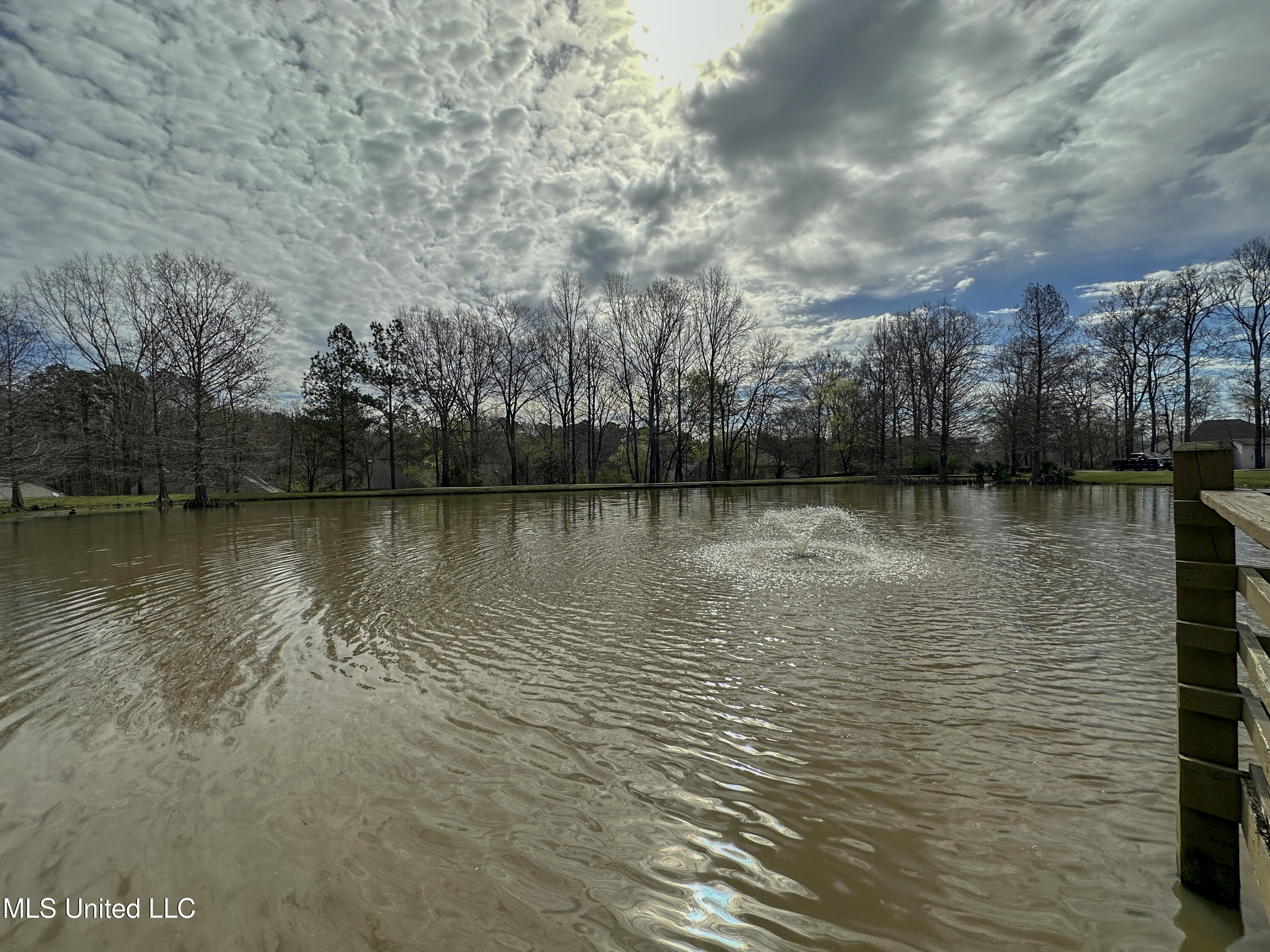 107 Thornwood Drive Property Photo 42