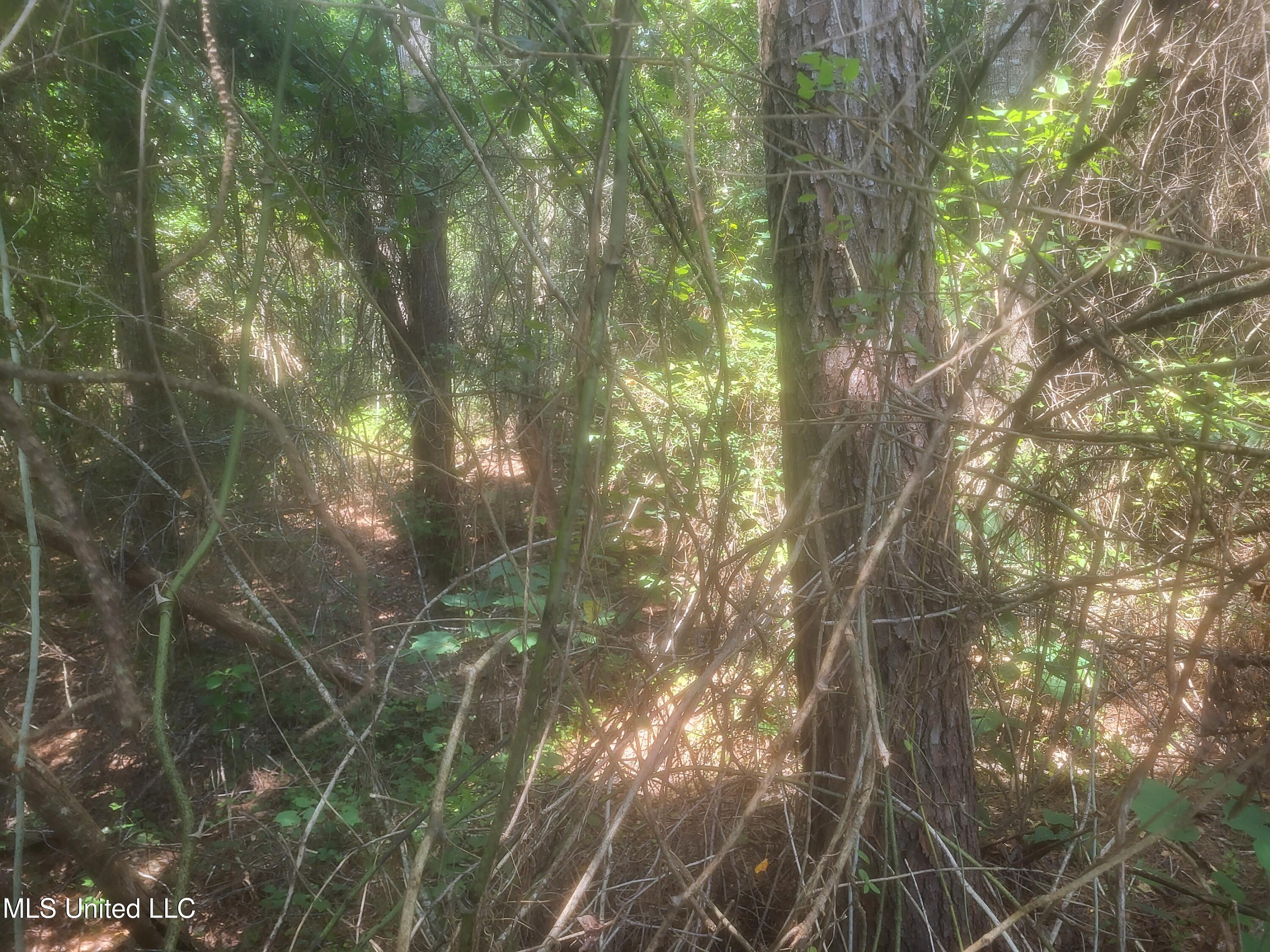 0 Otho Davis Rd Property Photo 1