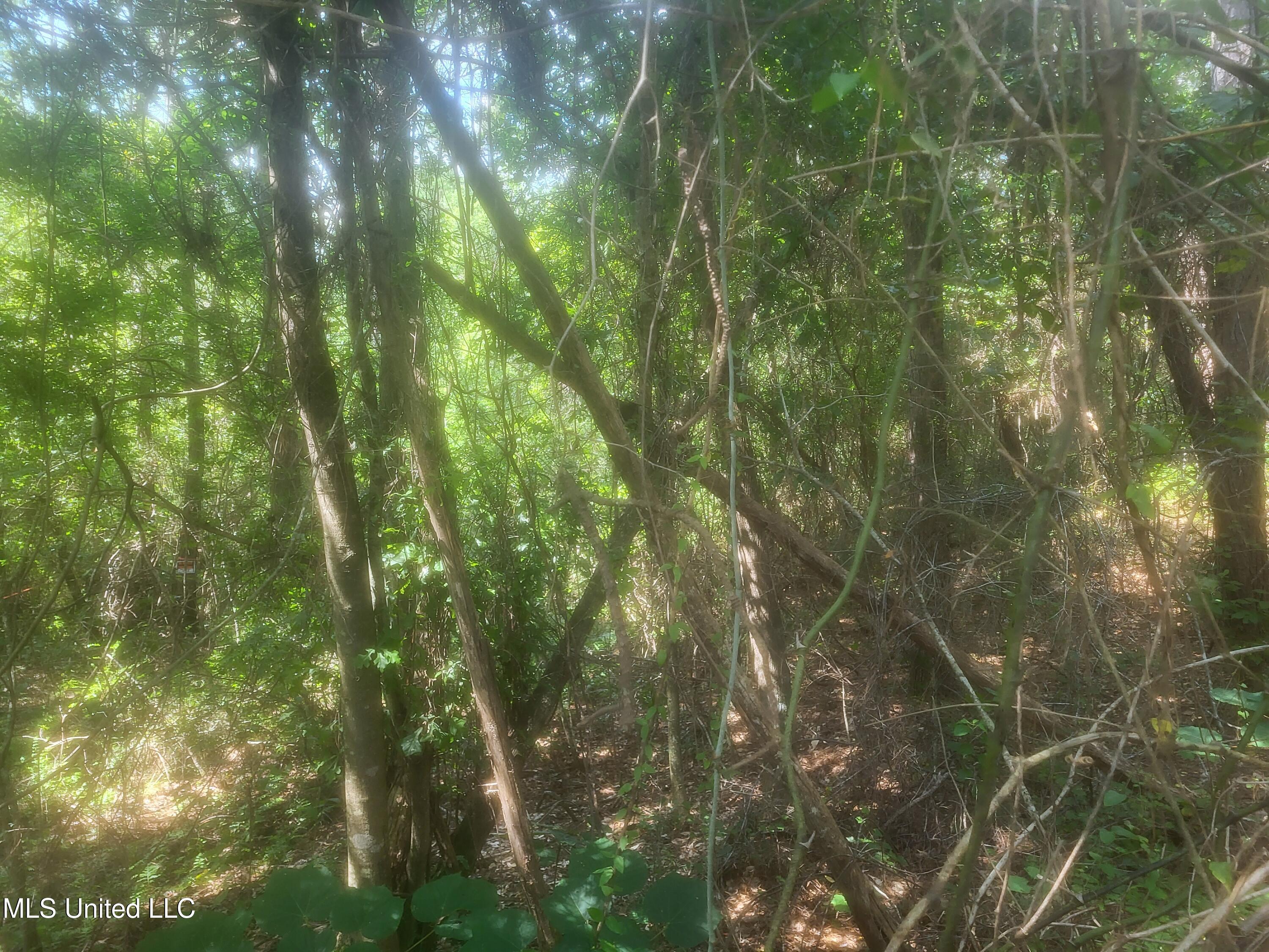 0 Otho Davis Rd Property Photo 2