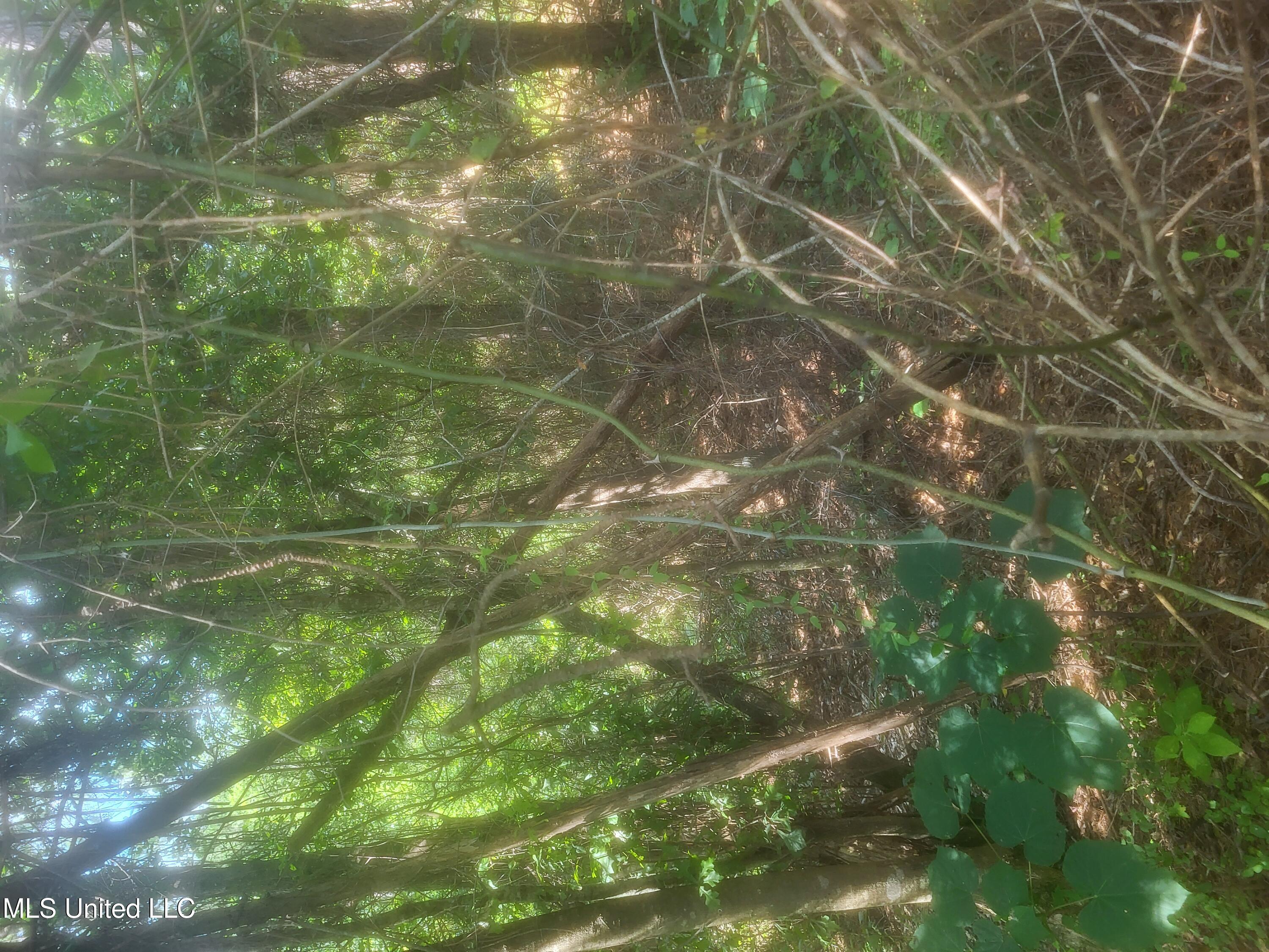 0 Otho Davis Rd Property Photo 3