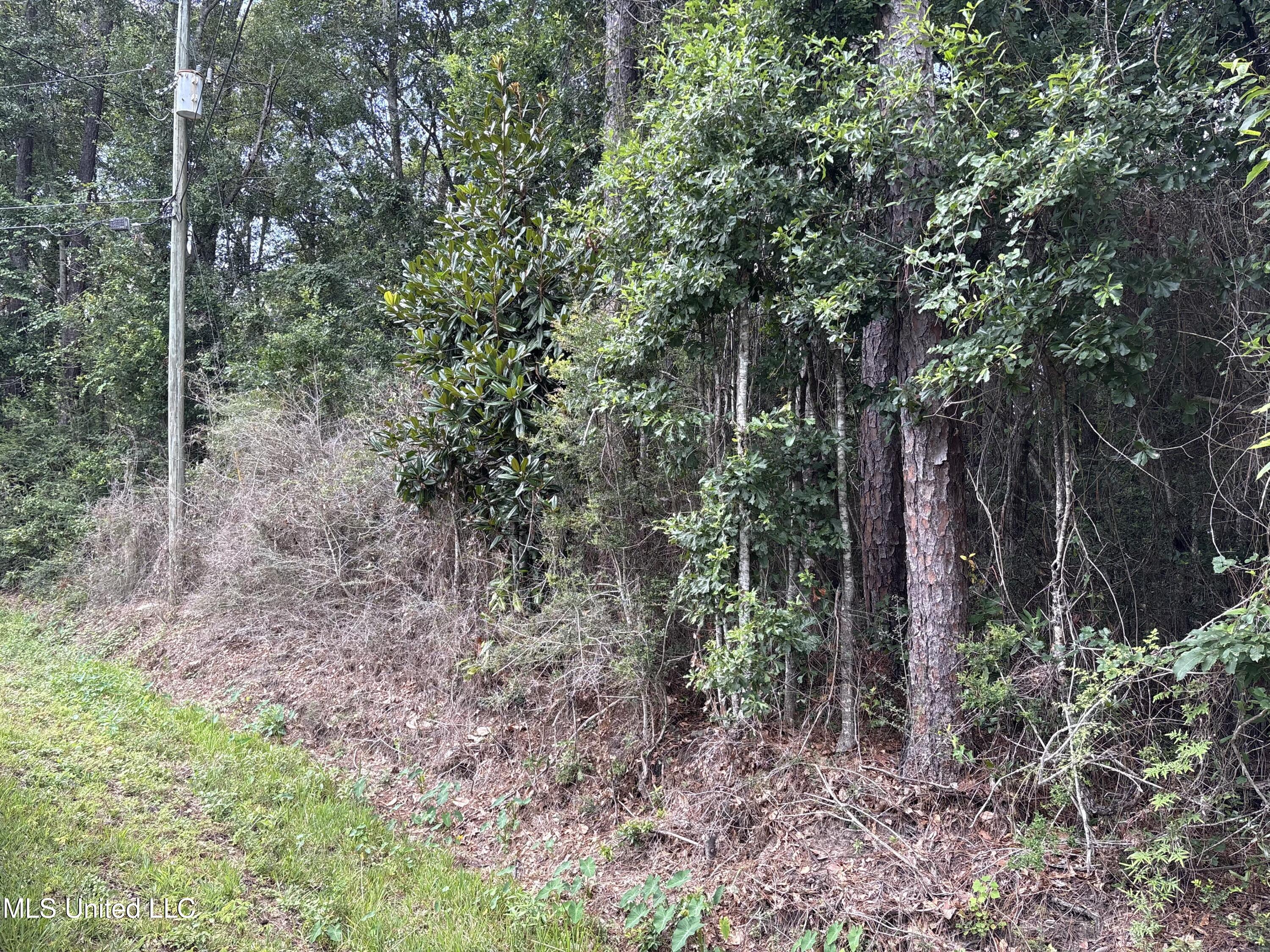 Dailey Road Property Photo 2