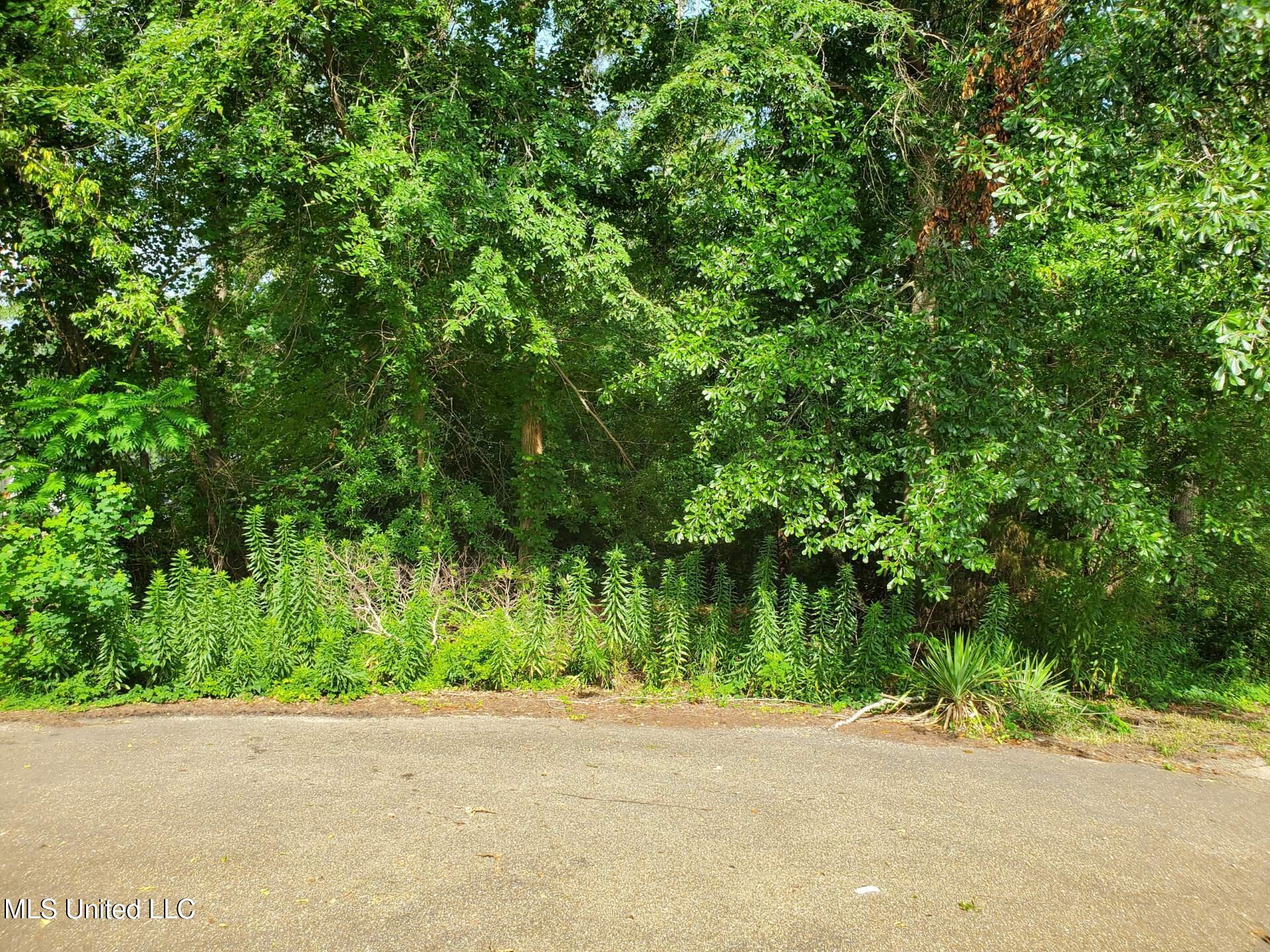 136 Plum Tree Road Property Photo 2