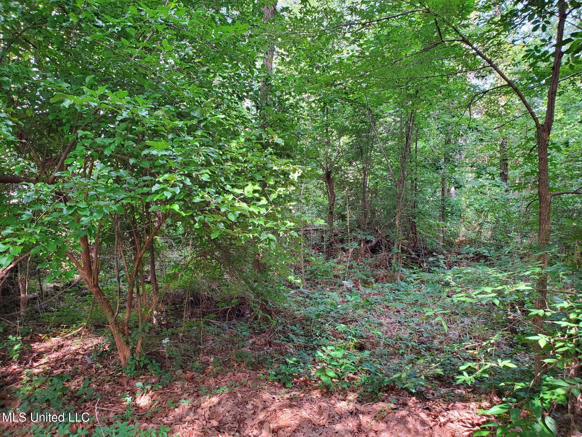 136 Plum Tree Road Property Photo 3