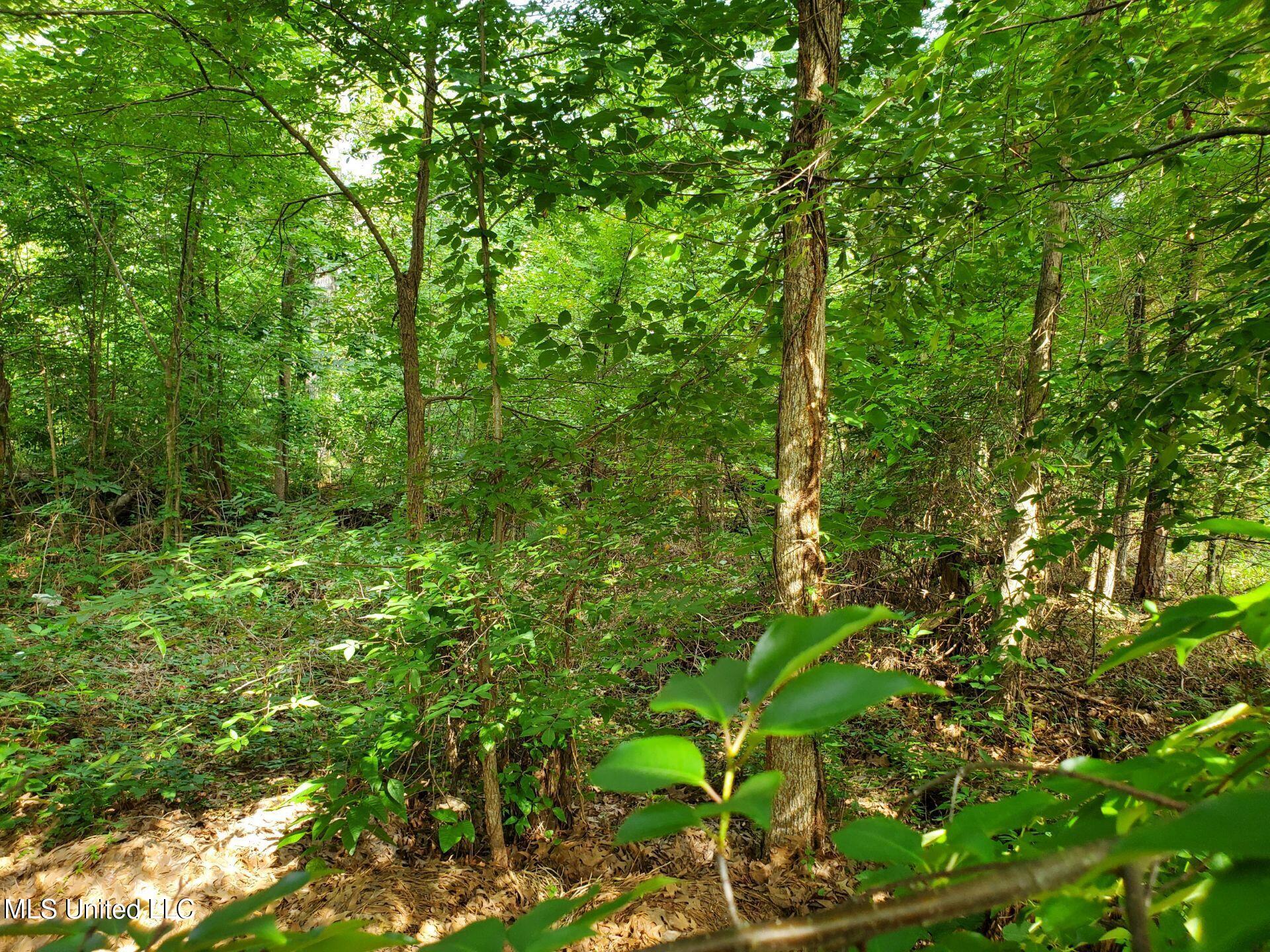 136 Plum Tree Road Property Photo 4