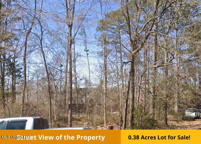 136 Plum Tree Road Property Photo 5