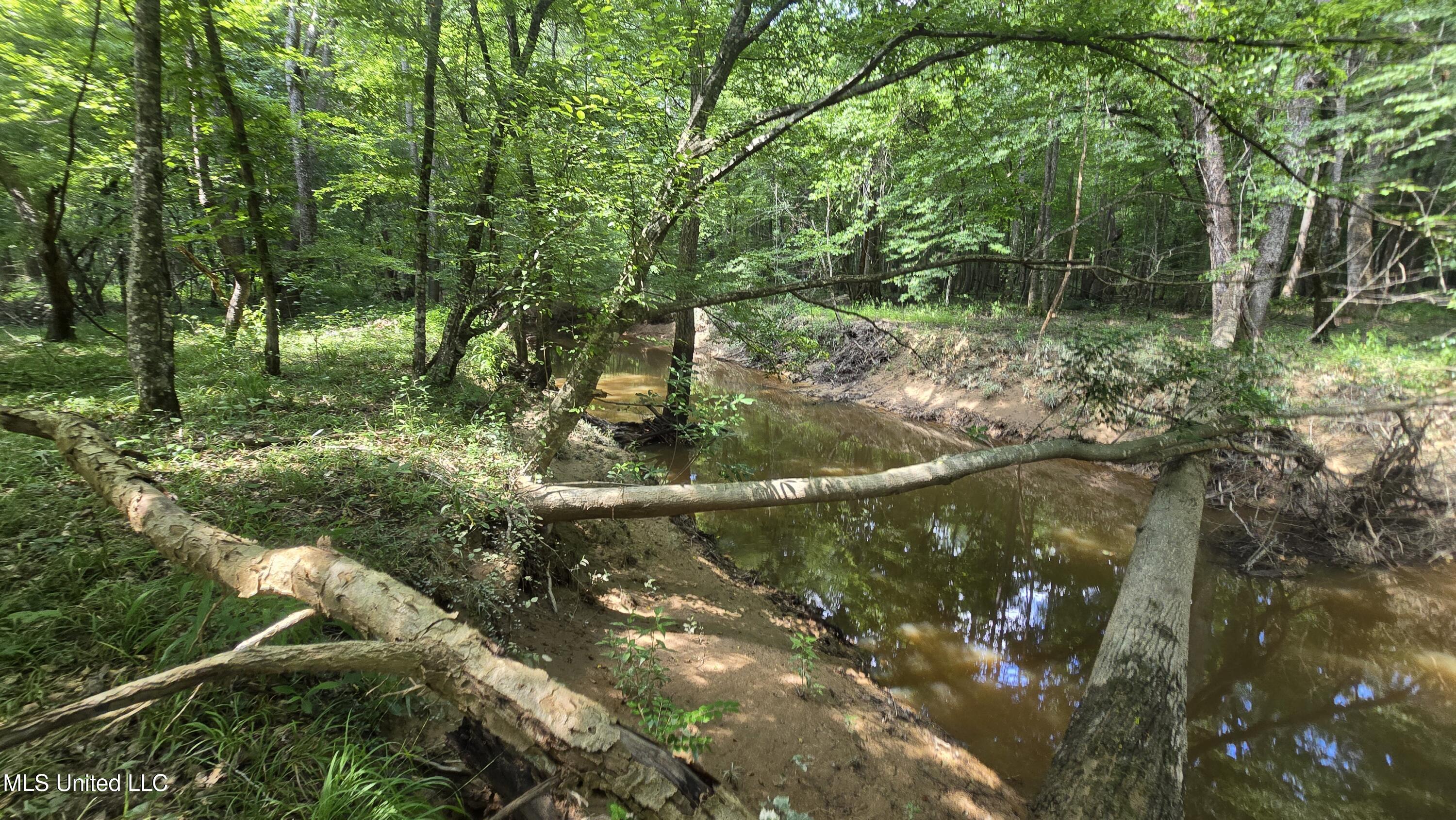 No Ms-407 Property Photo 2