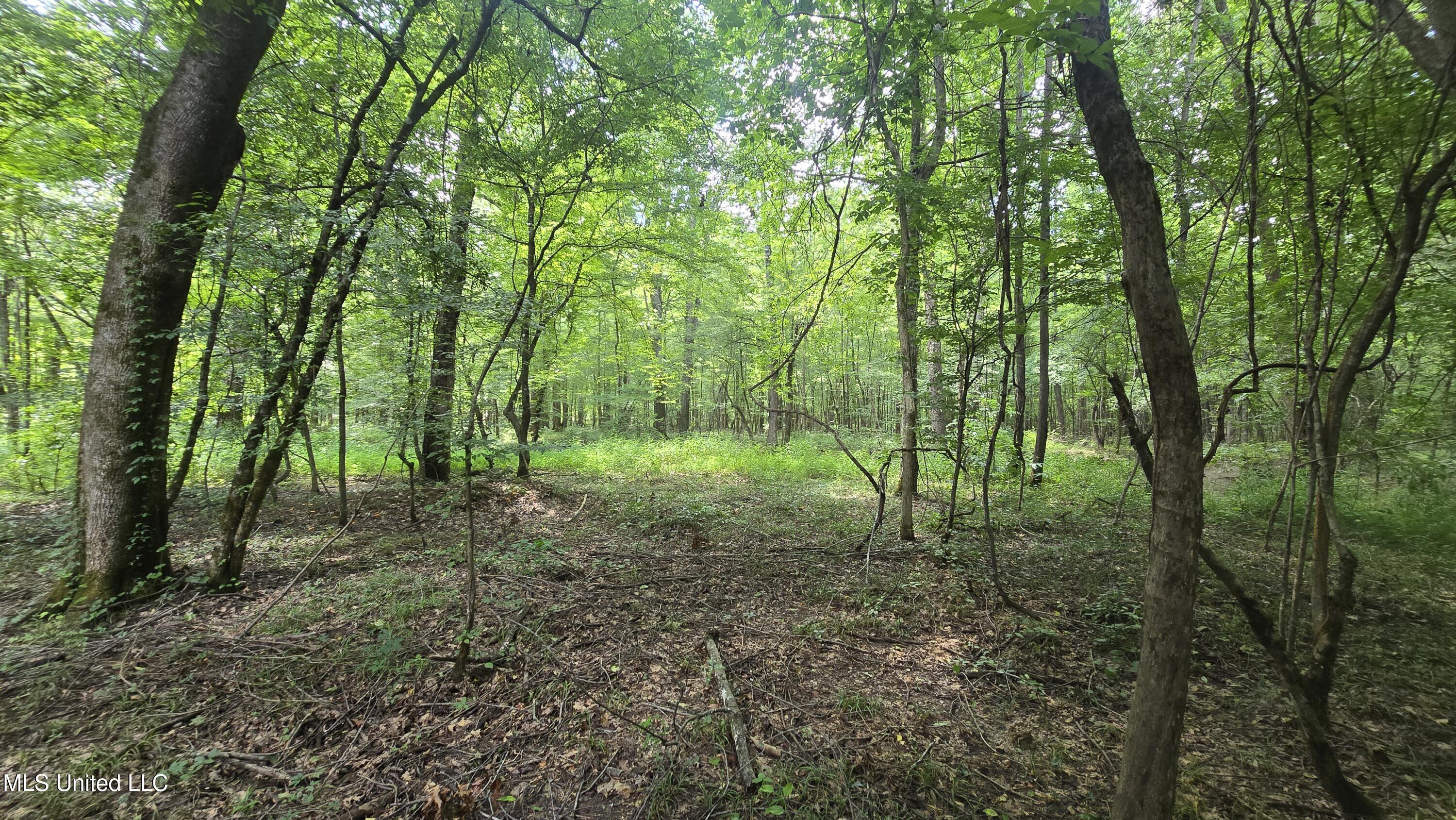 No Ms-407 Property Photo 3
