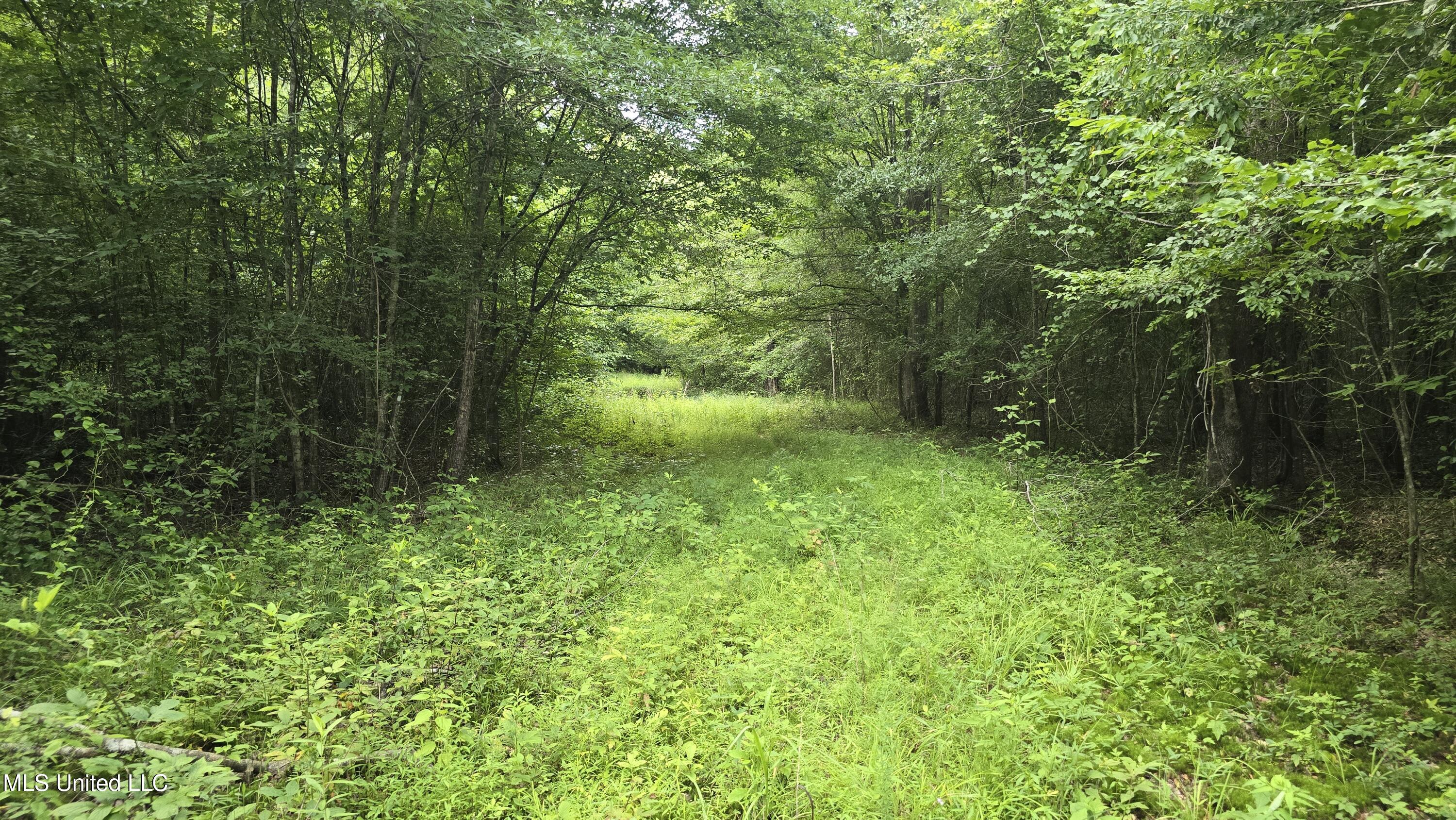 No Ms-407 Property Photo 5
