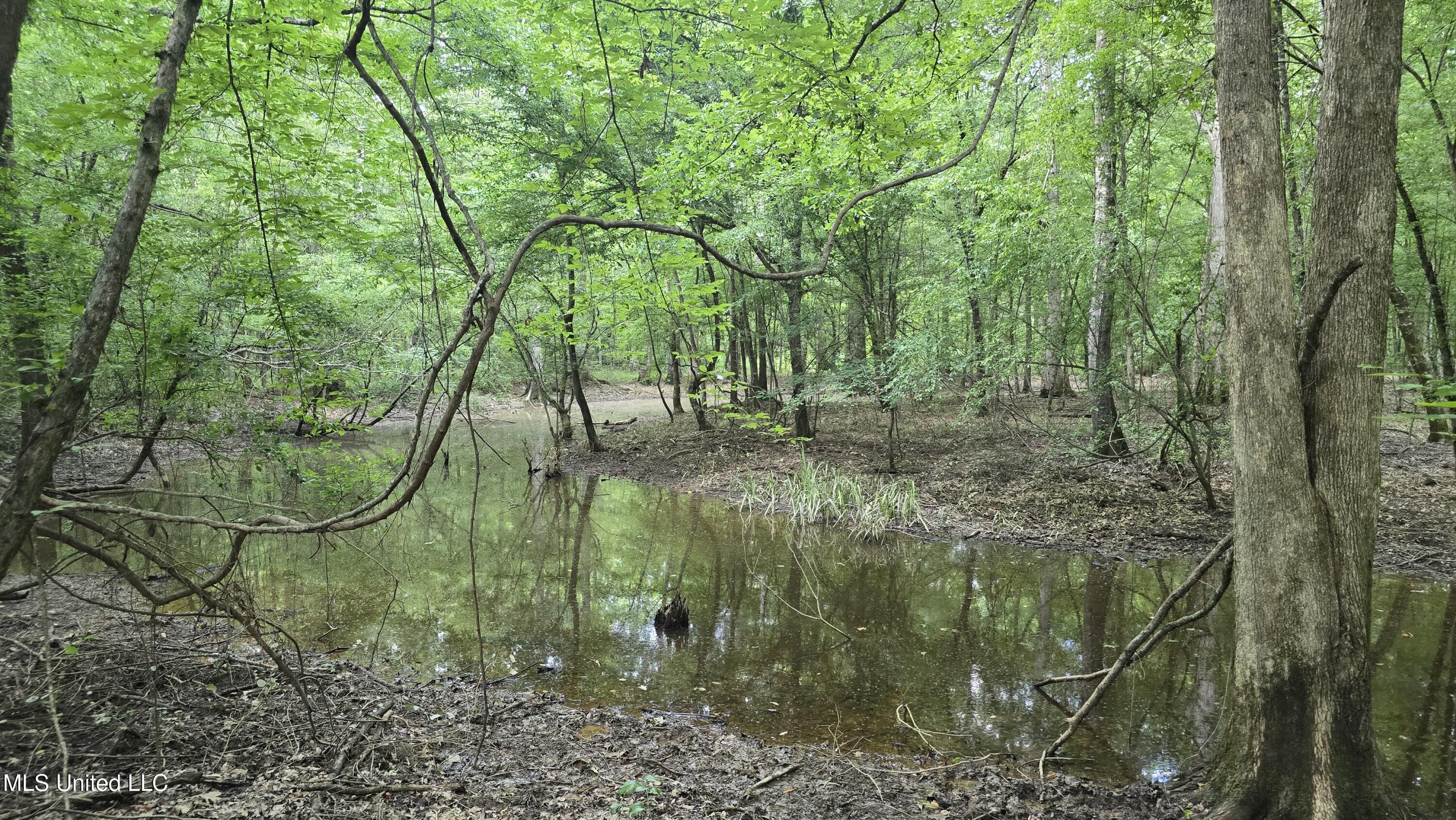 No Ms-407 Property Photo 6