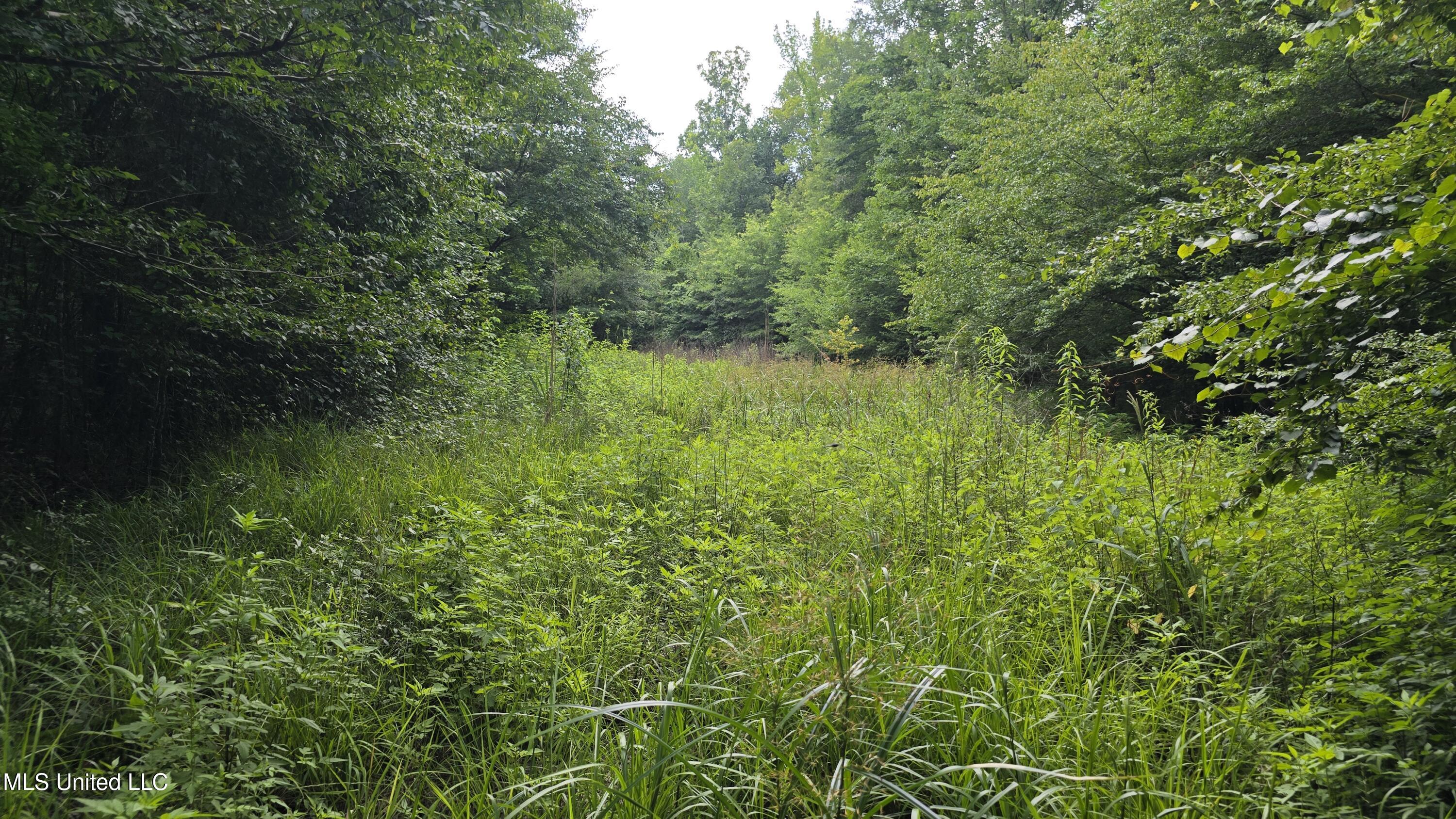 No Ms-407 Property Photo 7
