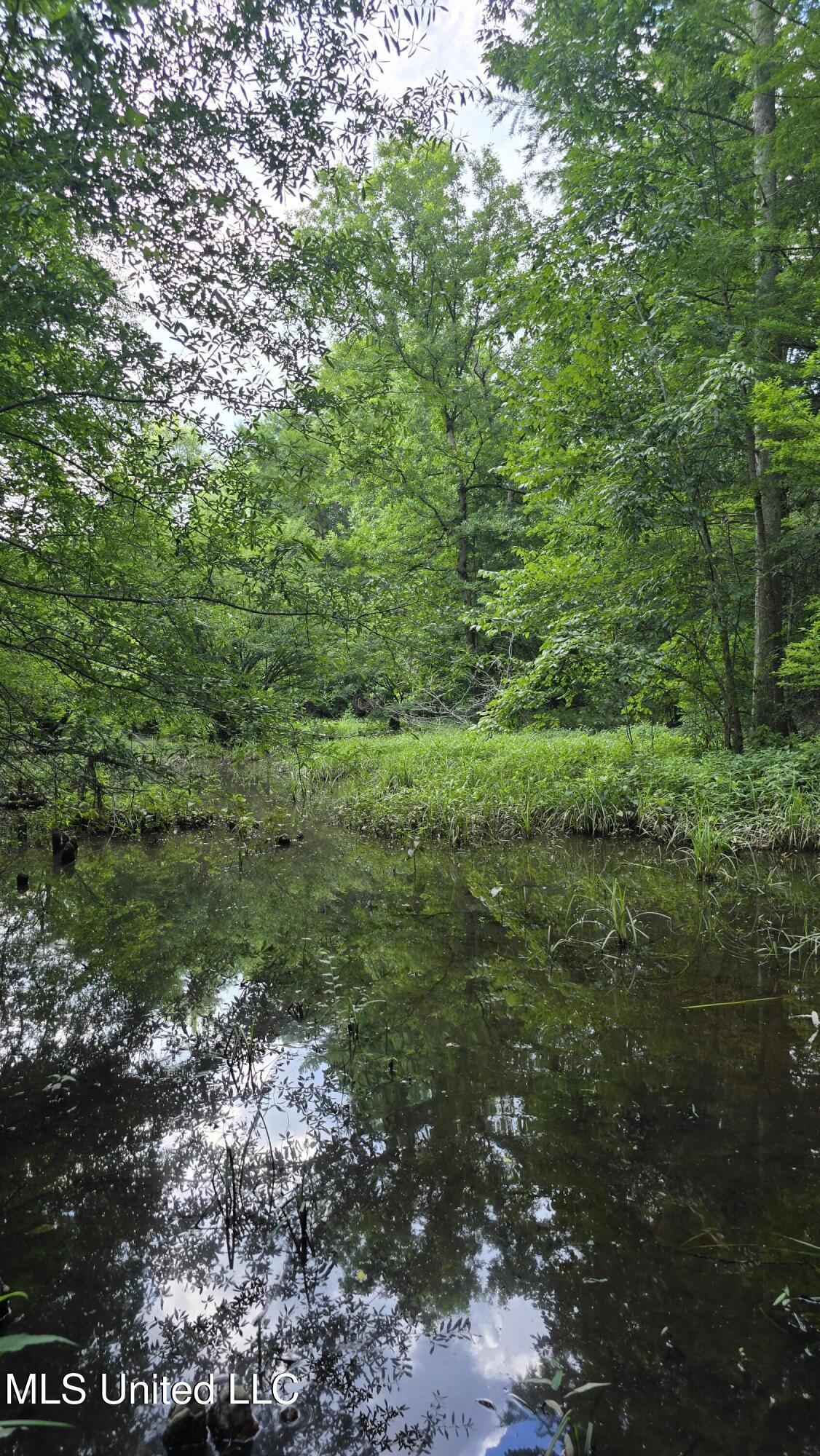 No Ms-407 Property Photo 8