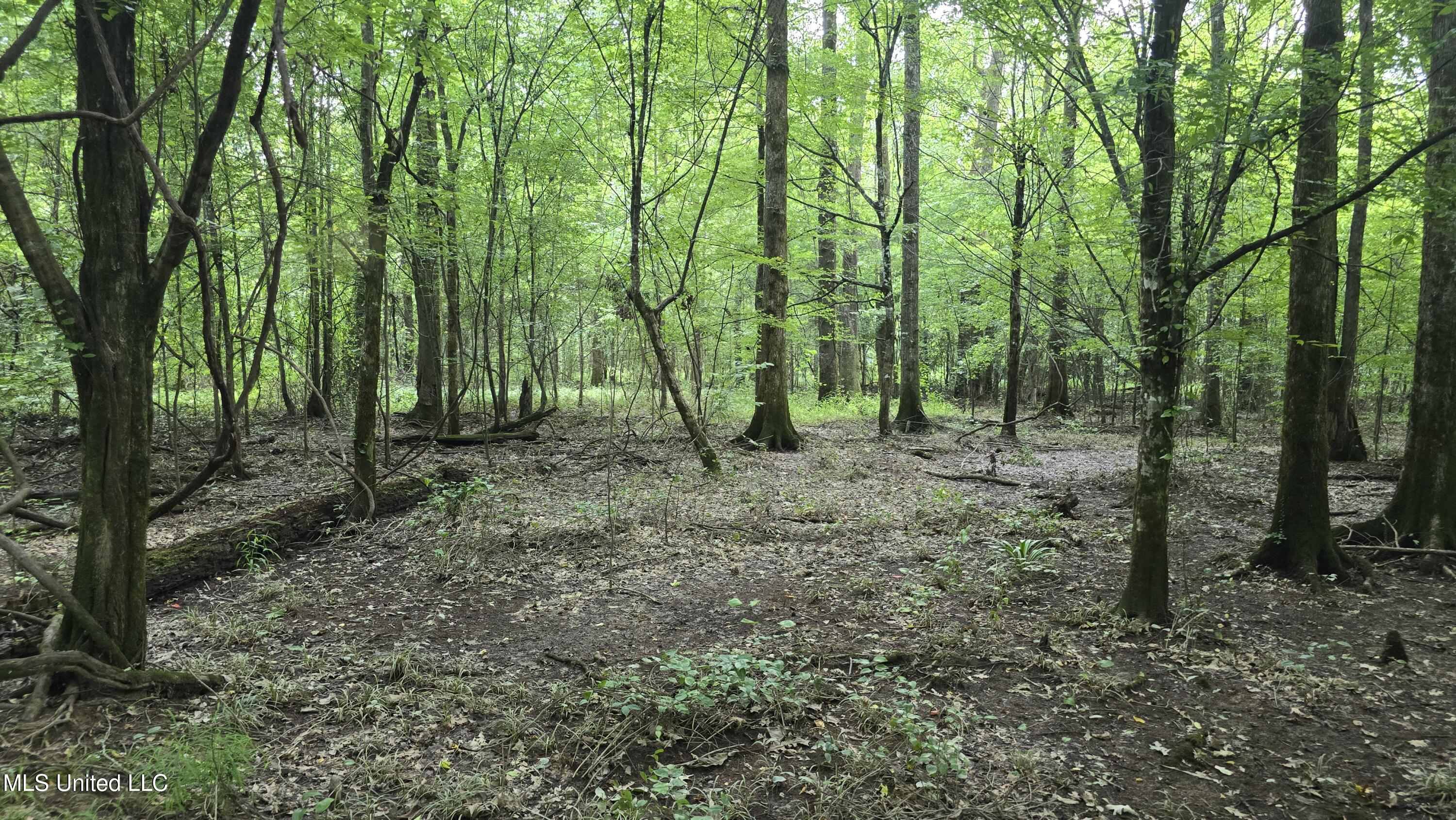 No Ms-407 Property Photo 9