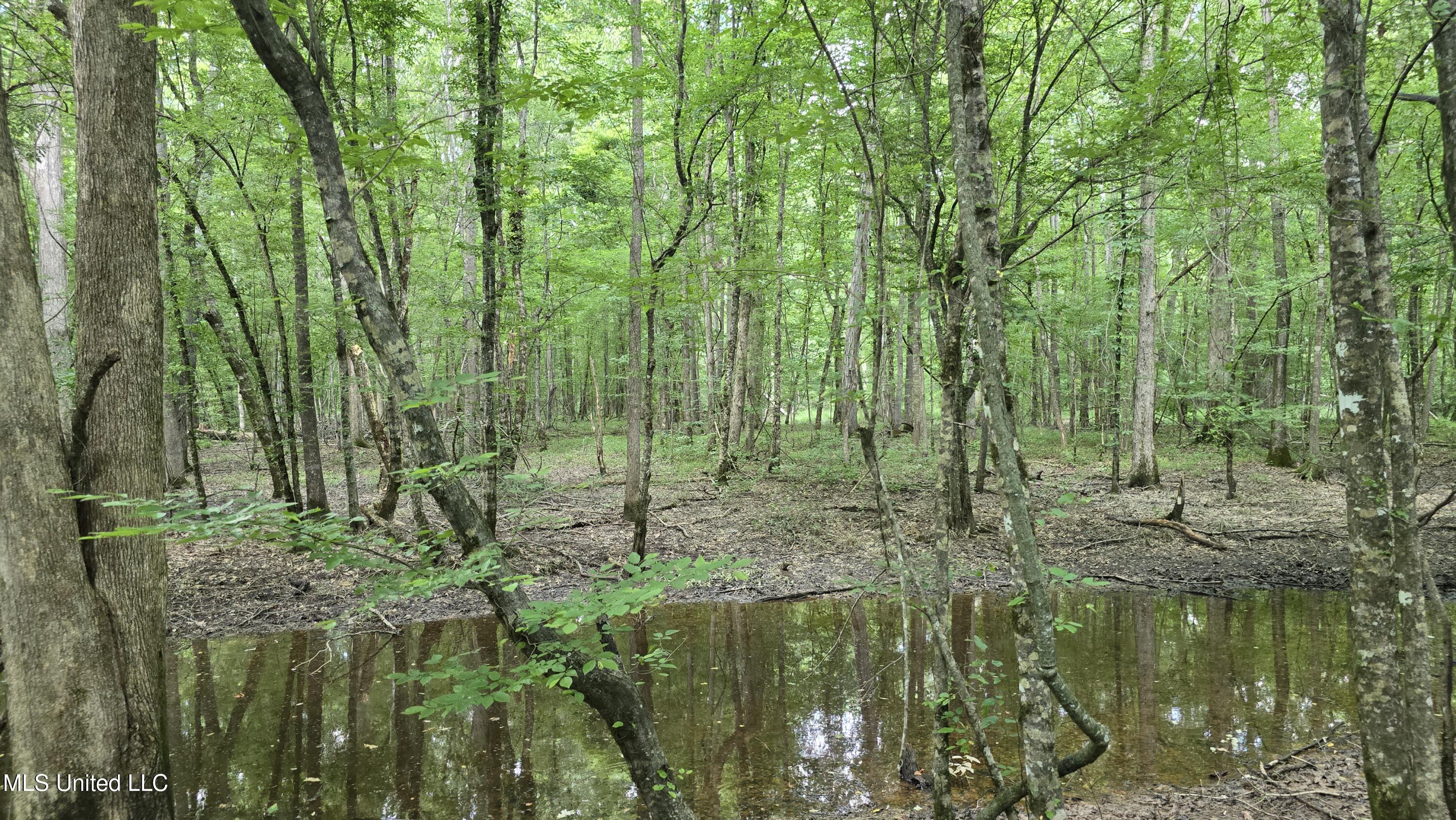 No Ms-407 Property Photo 18