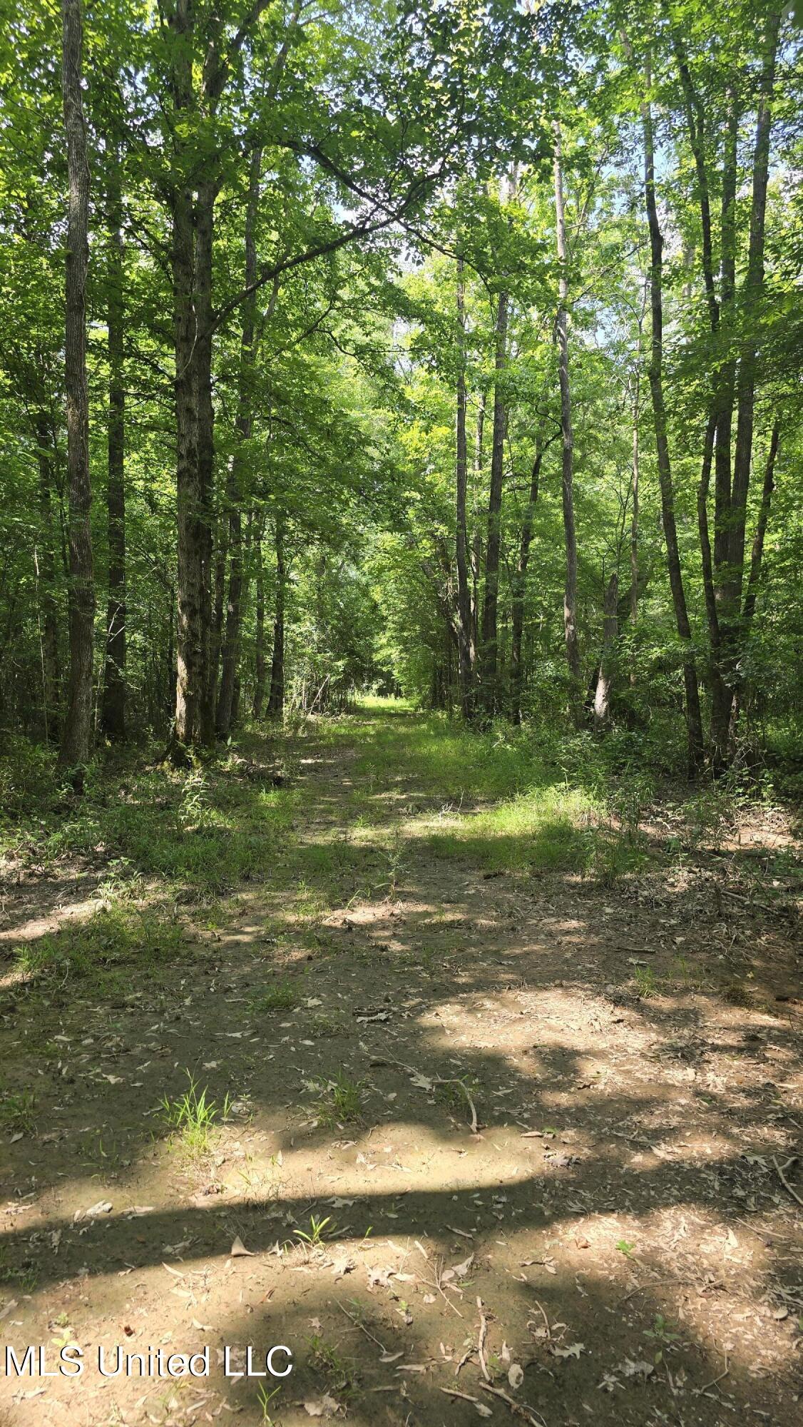 No Ms-407 Property Photo 26