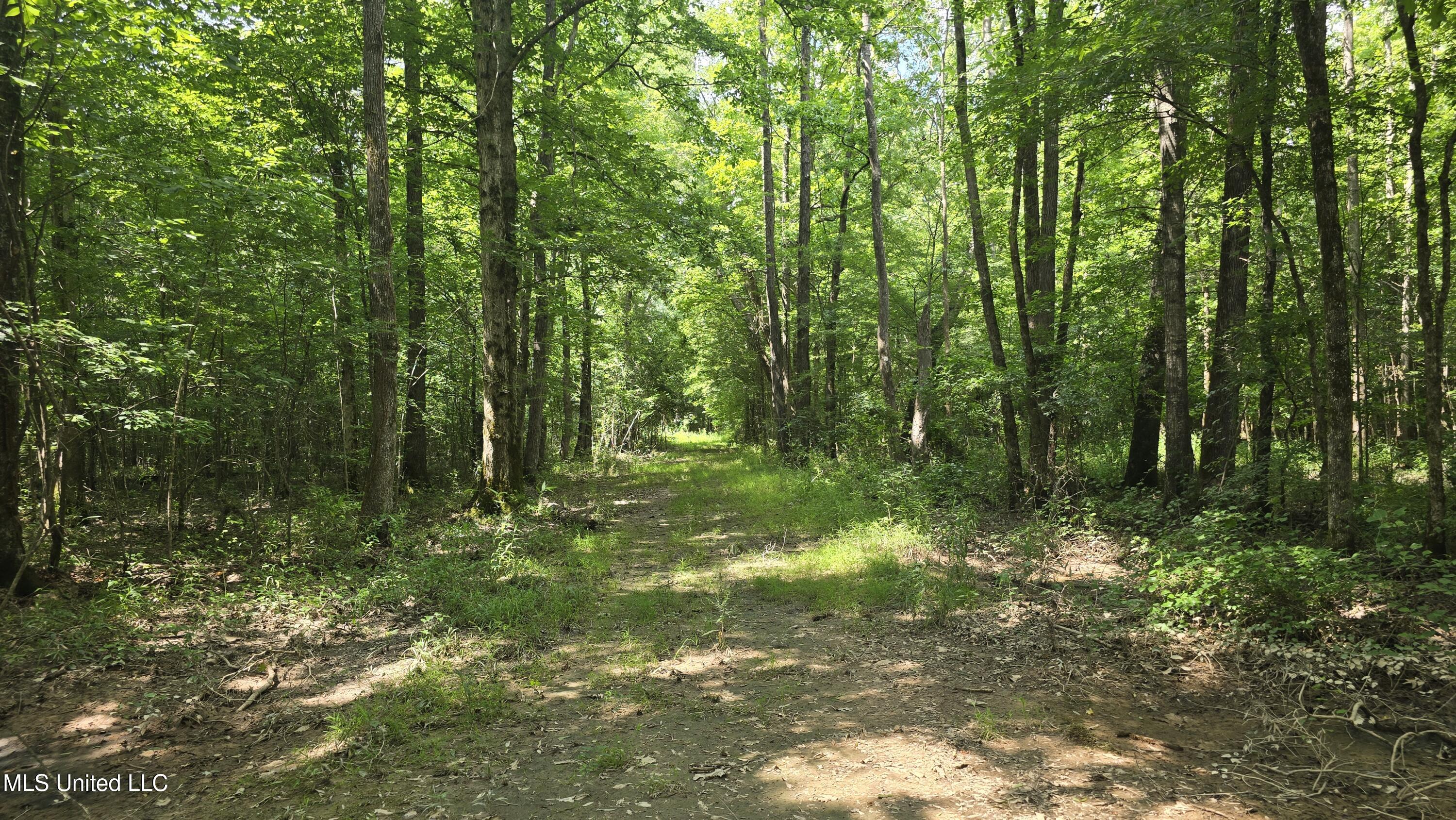 No Ms-407 Property Photo 27
