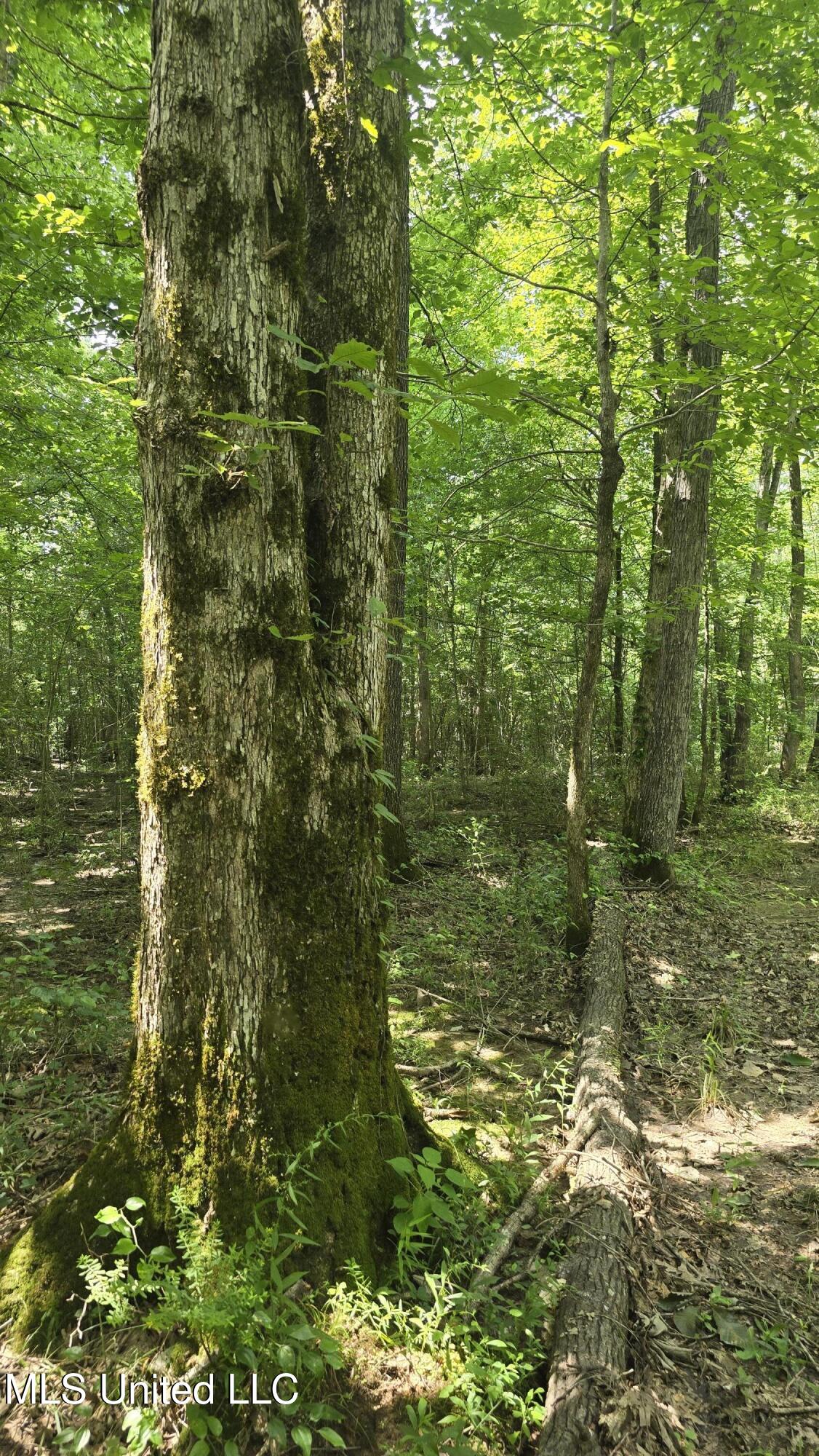 No Ms-407 Property Photo 28