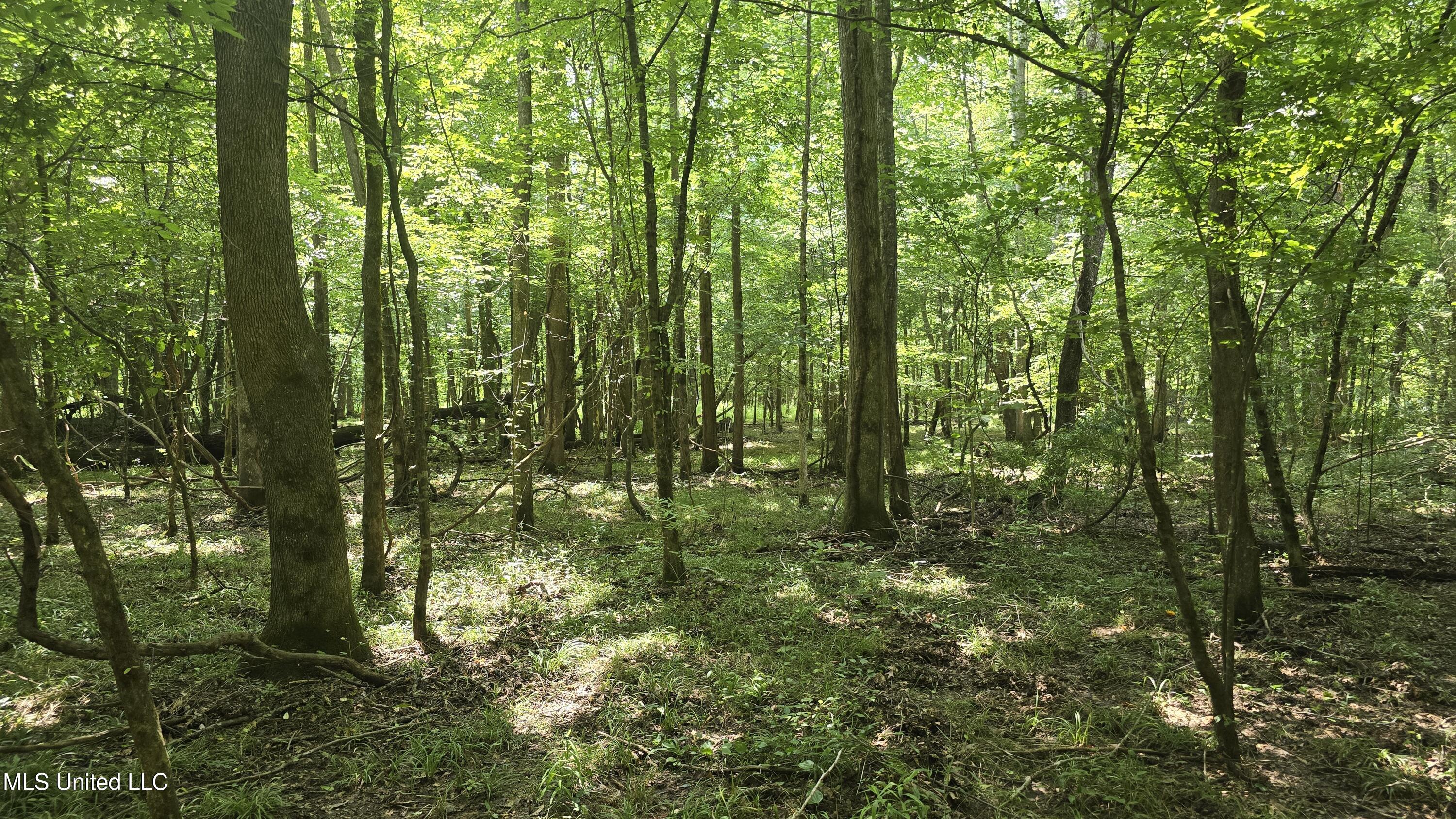 No Ms-407 Property Photo 29