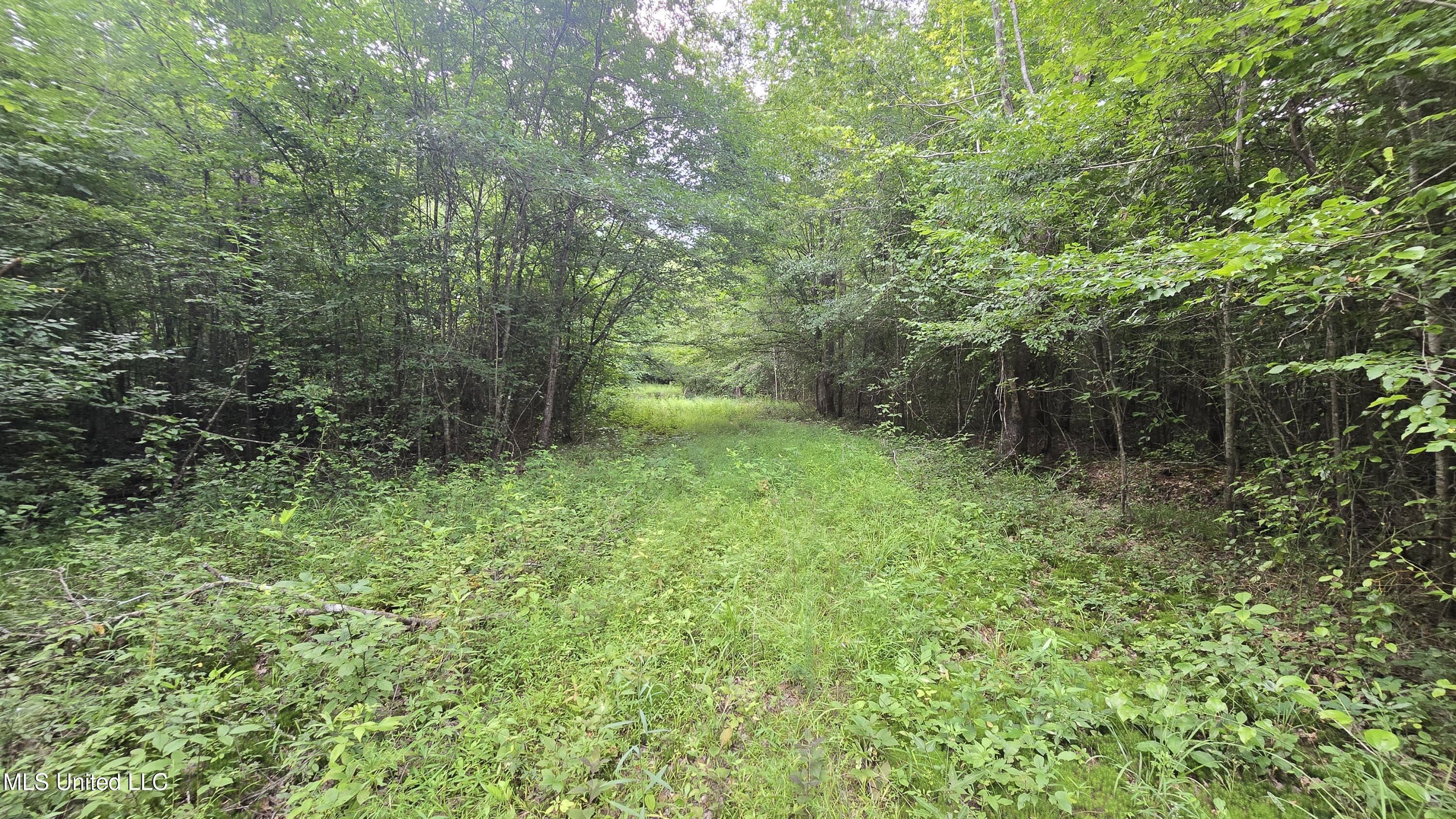 No Ms-407 Property Photo 34