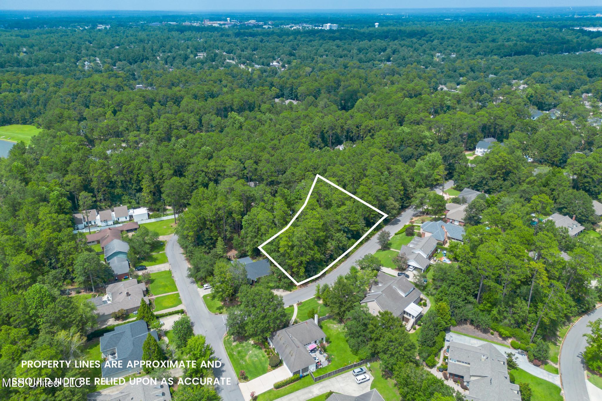 00 Kirkwood Drive Property Photo 13