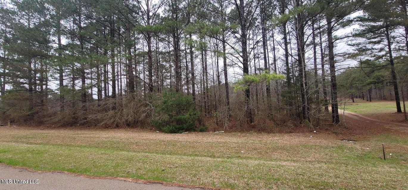 0 Edward Owens Drive Property Photo 3
