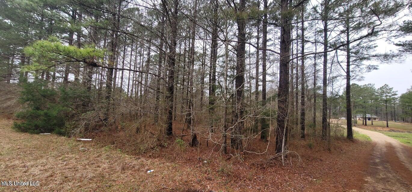 0 Edward Owens Drive Property Photo 4