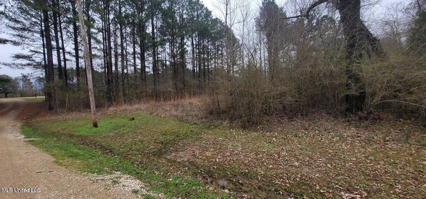 0 Edward Owens Drive Property Photo 5