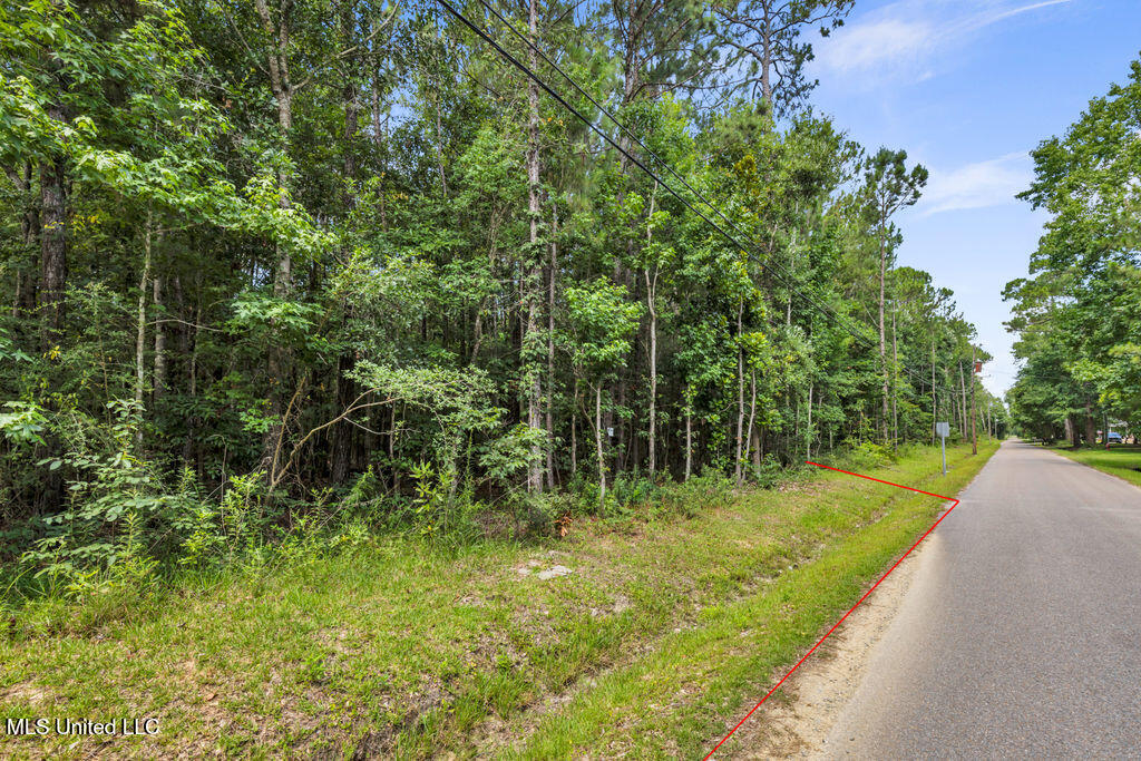 Julia Street Property Photo 1