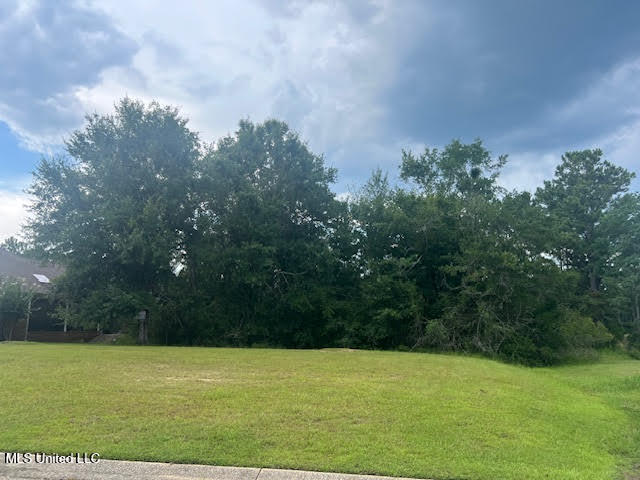 Lot 156 Players Cove Property Photo 2