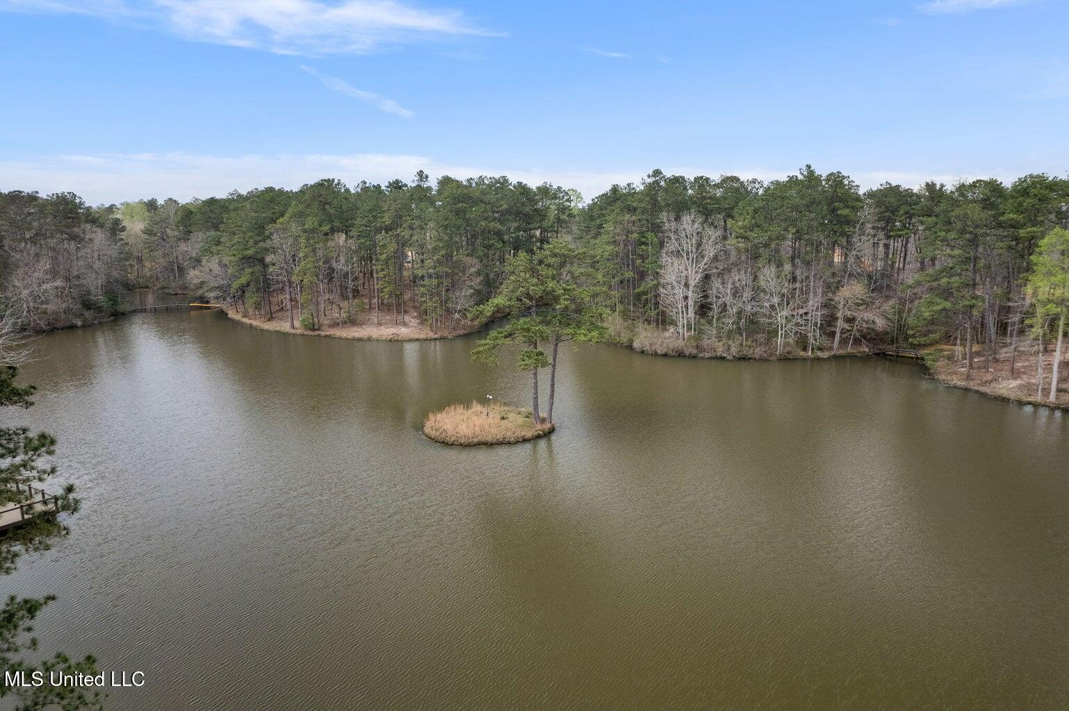 Lot 10 Bridgewater Subdivision Property Photo 6