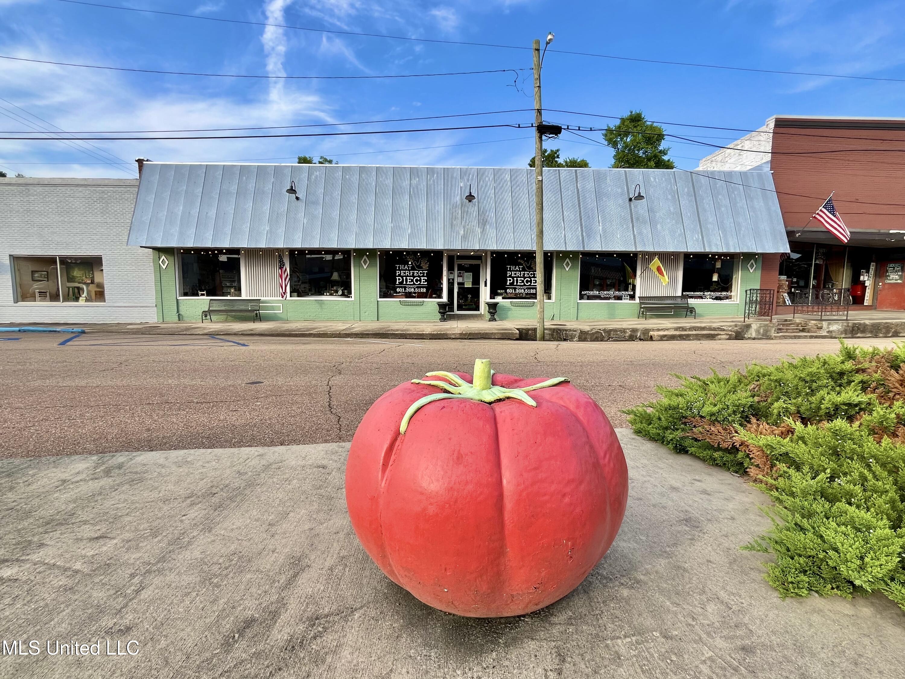 216 E Marion Avenue Property Photo 2