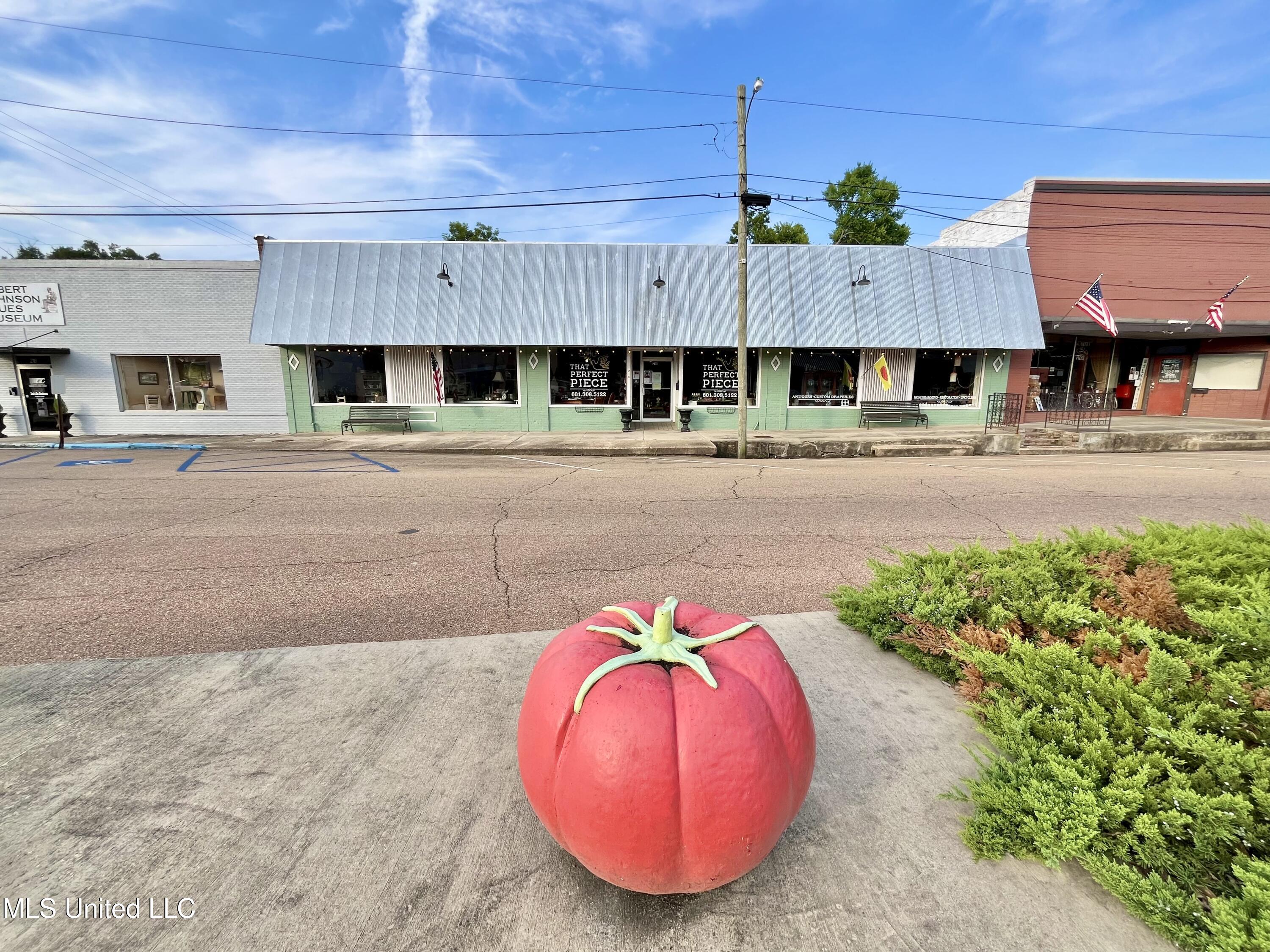 216 E Marion Avenue Property Photo 42