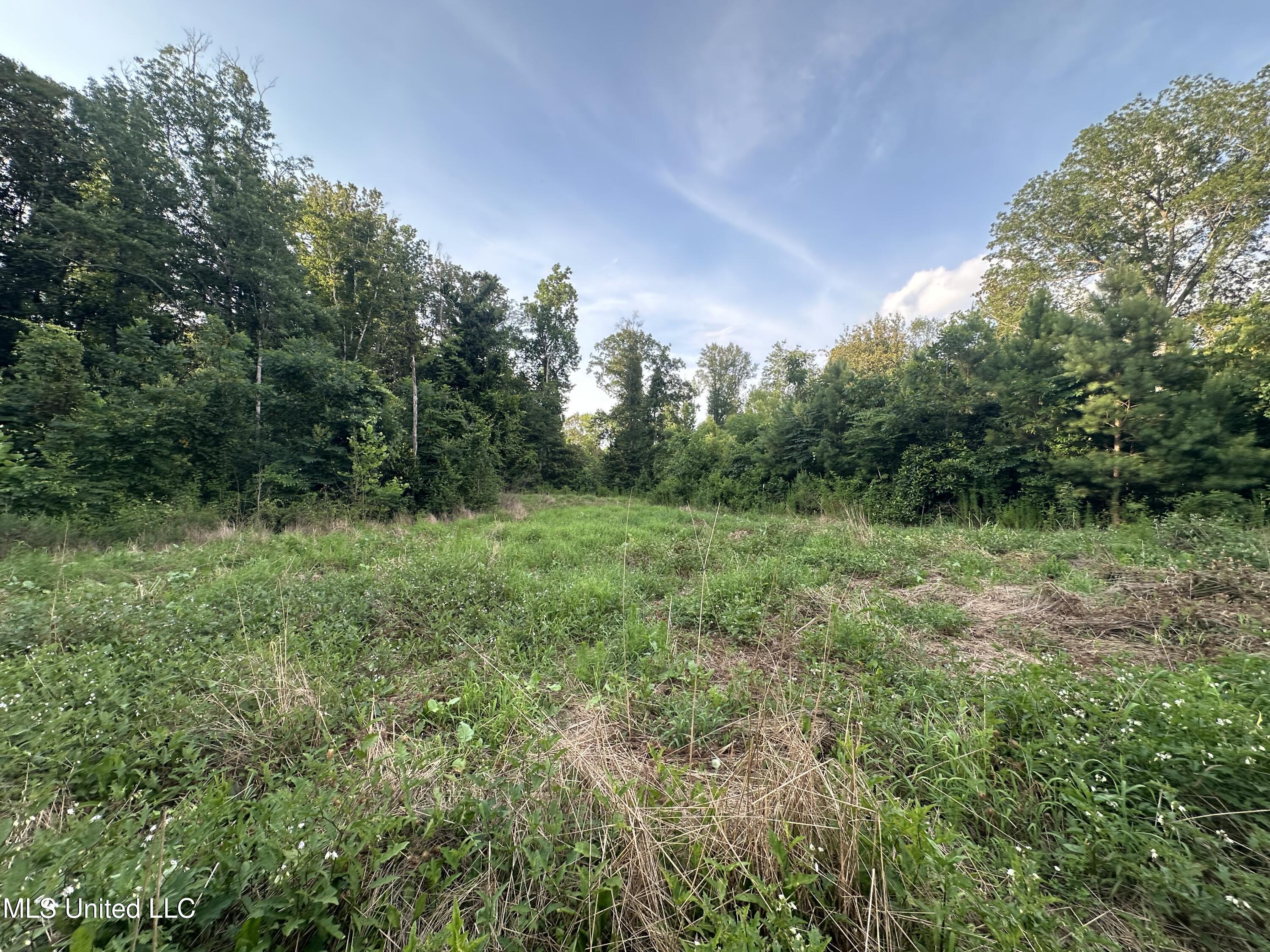 Dentville Road Property Photo 5
