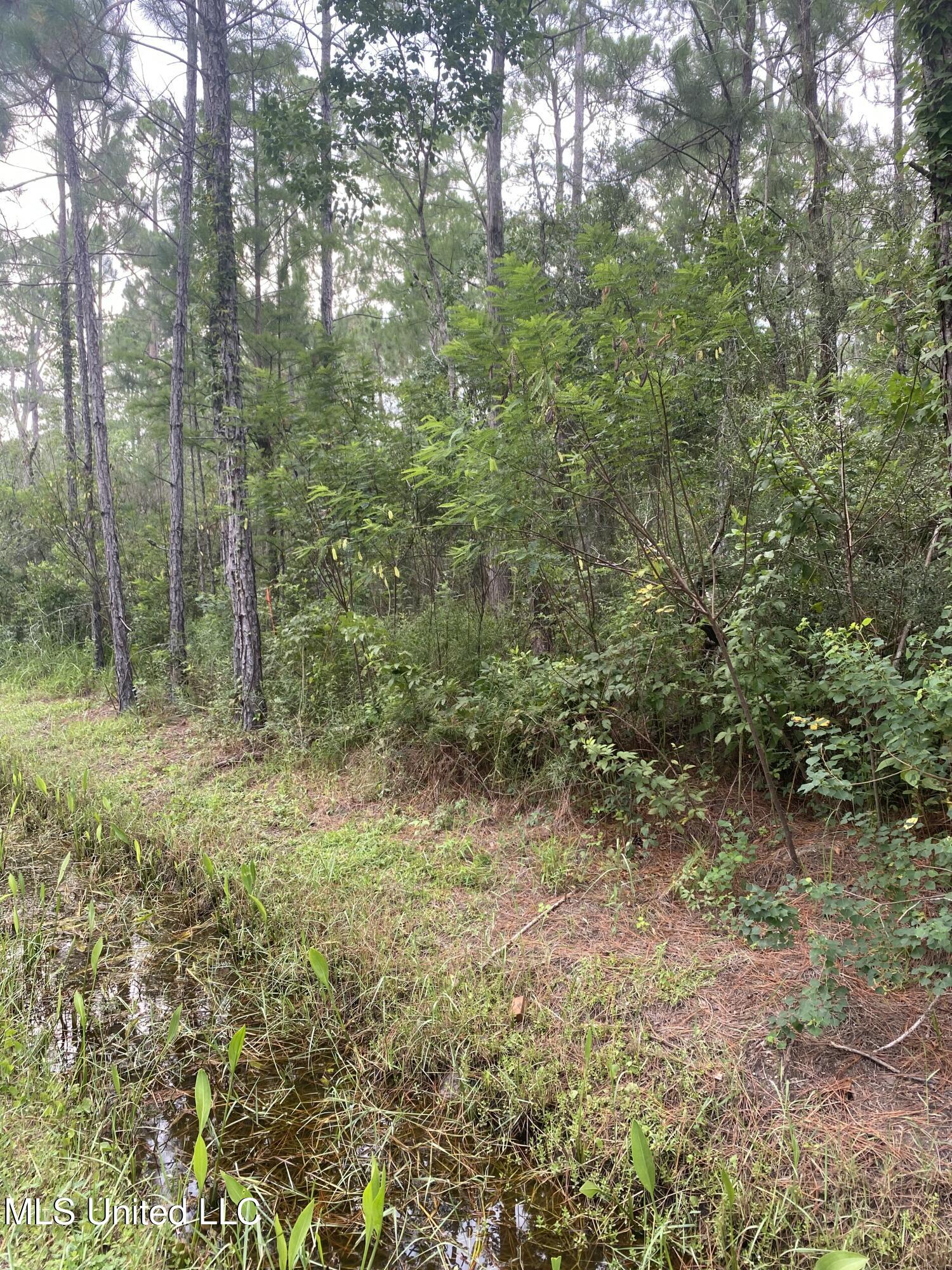 Fig Drive Property Photo 1