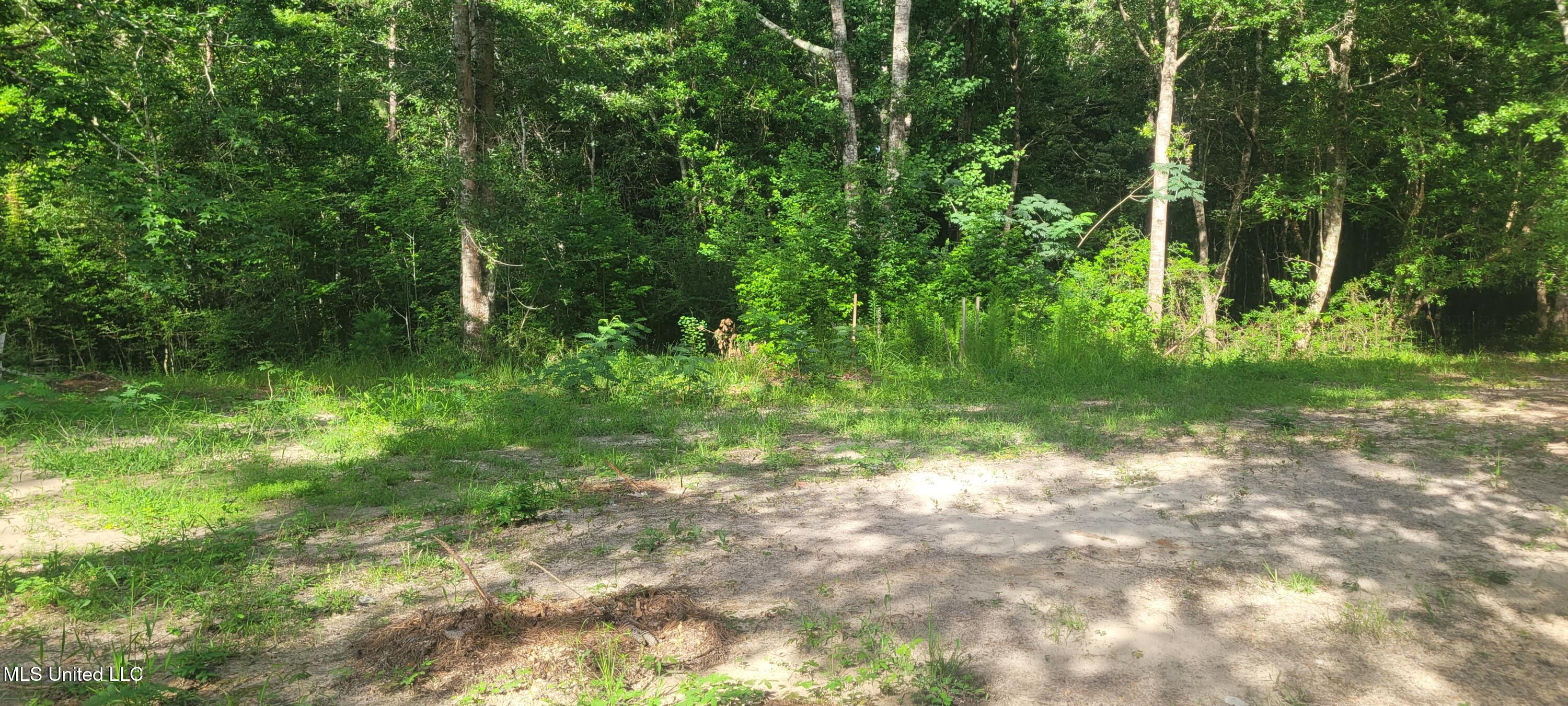 19296 Pete Hickman Road