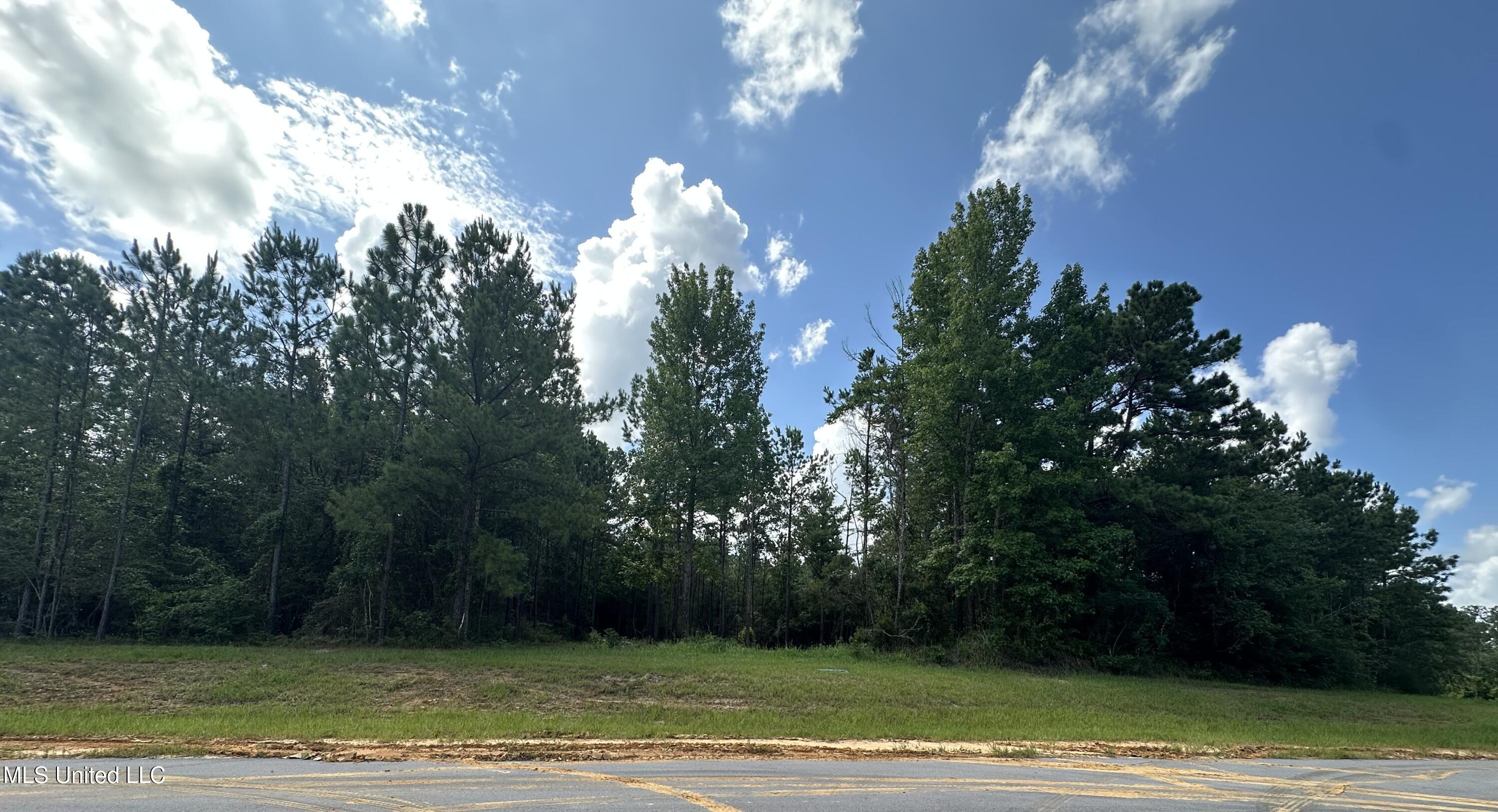 17141 Hillcrest Ridge Drive Property Photo 3