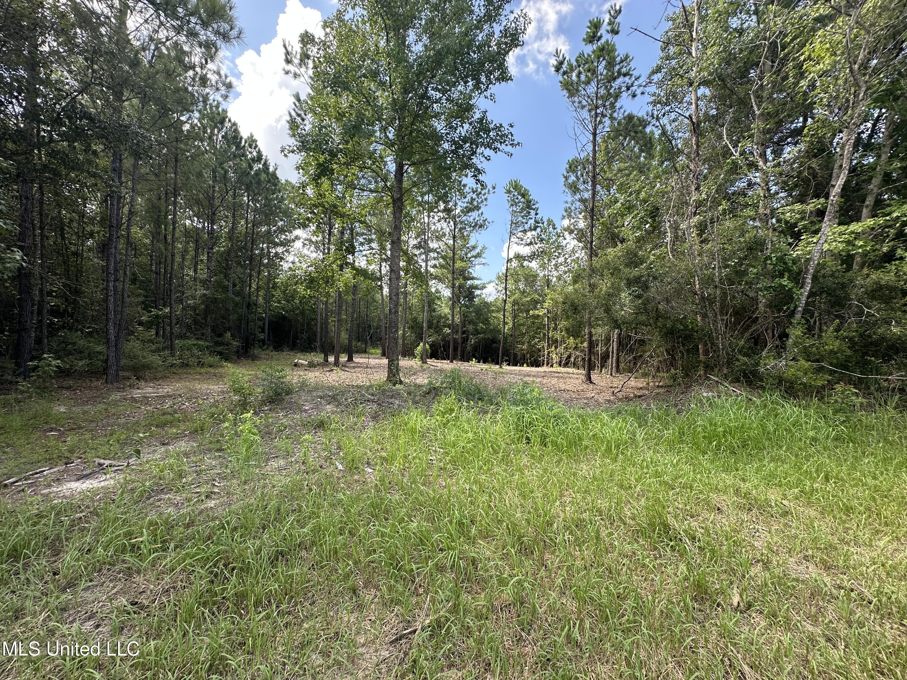 17141 Hillcrest Ridge Drive Property Photo 4